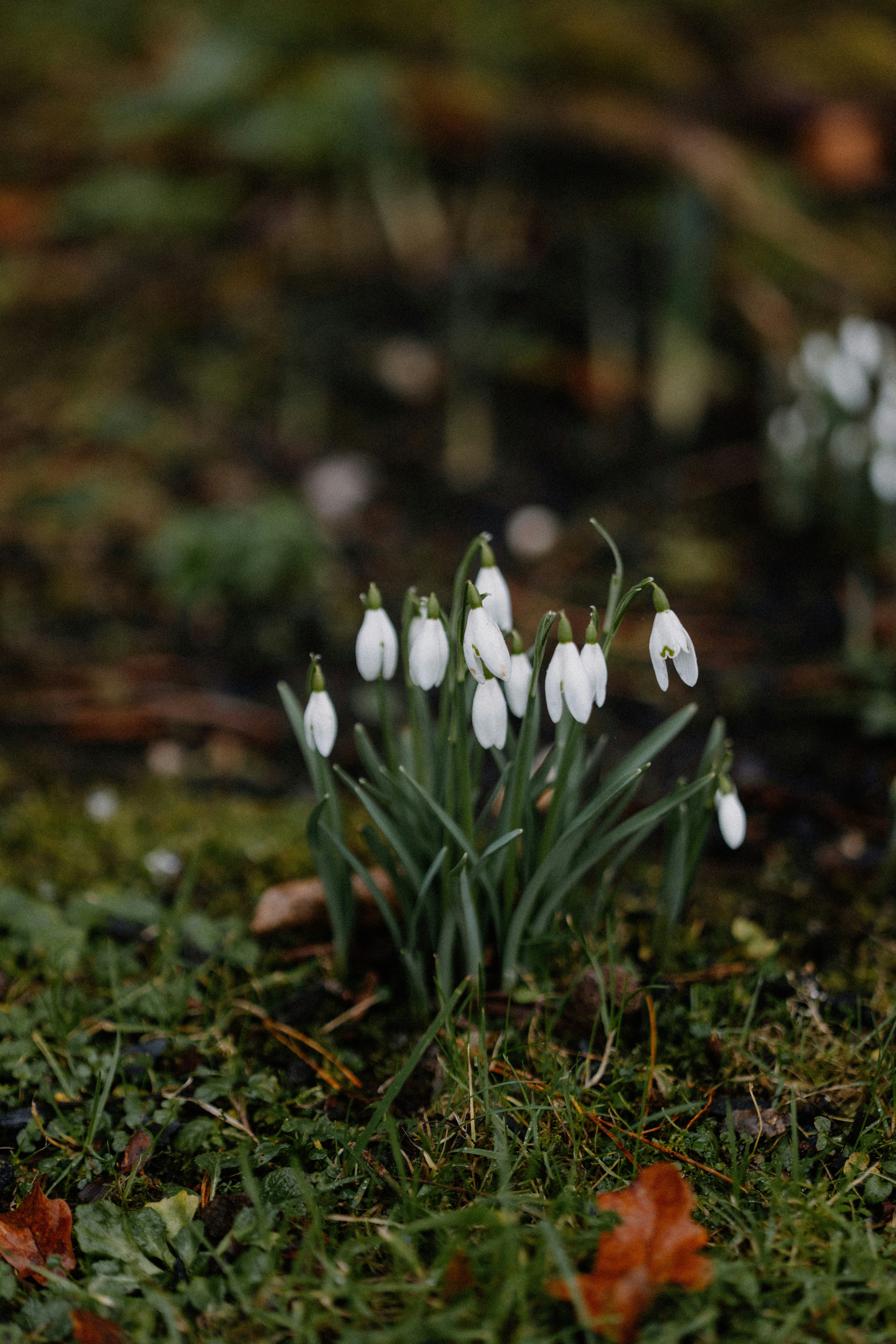 Photo by anniespratt