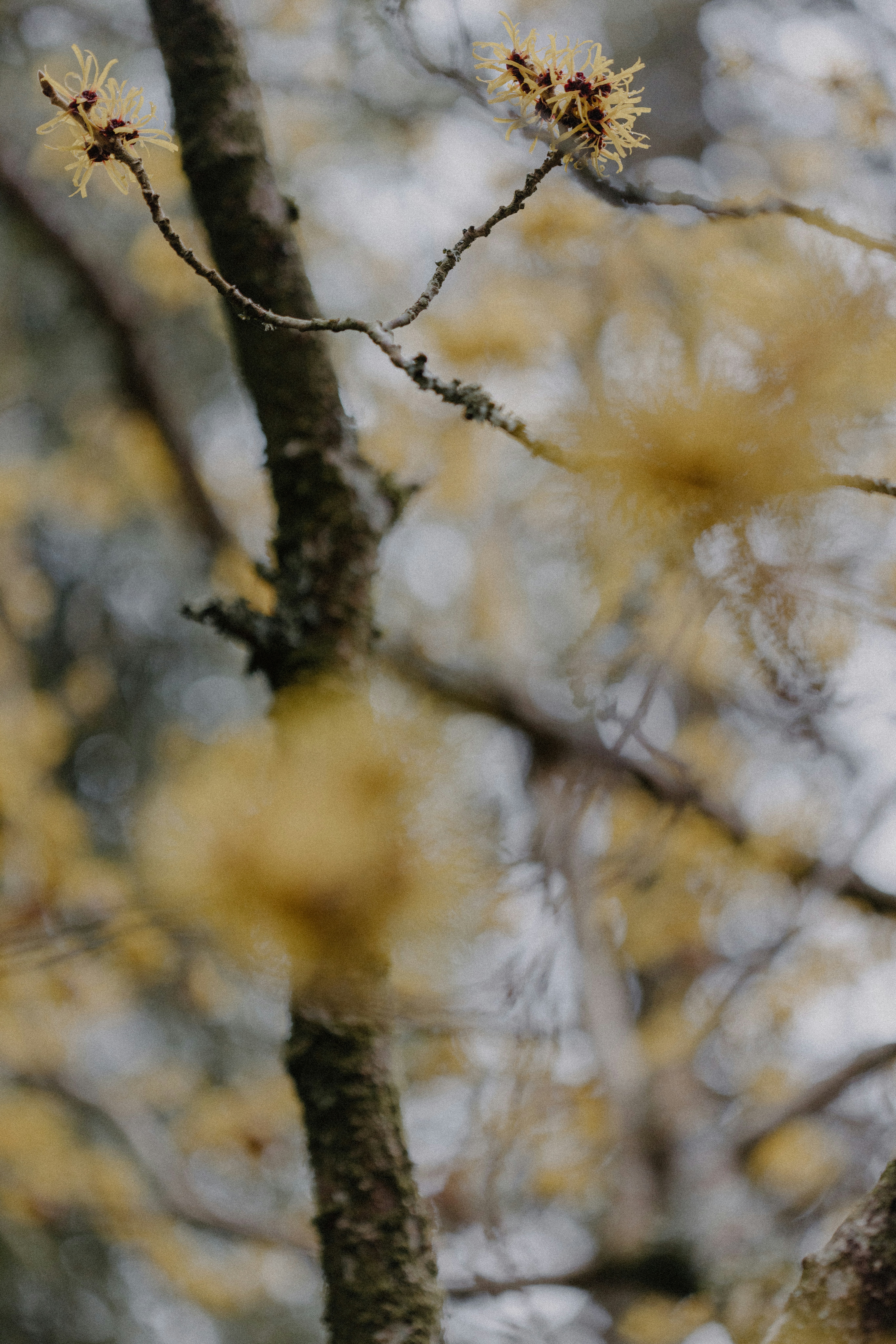 Photo by anniespratt