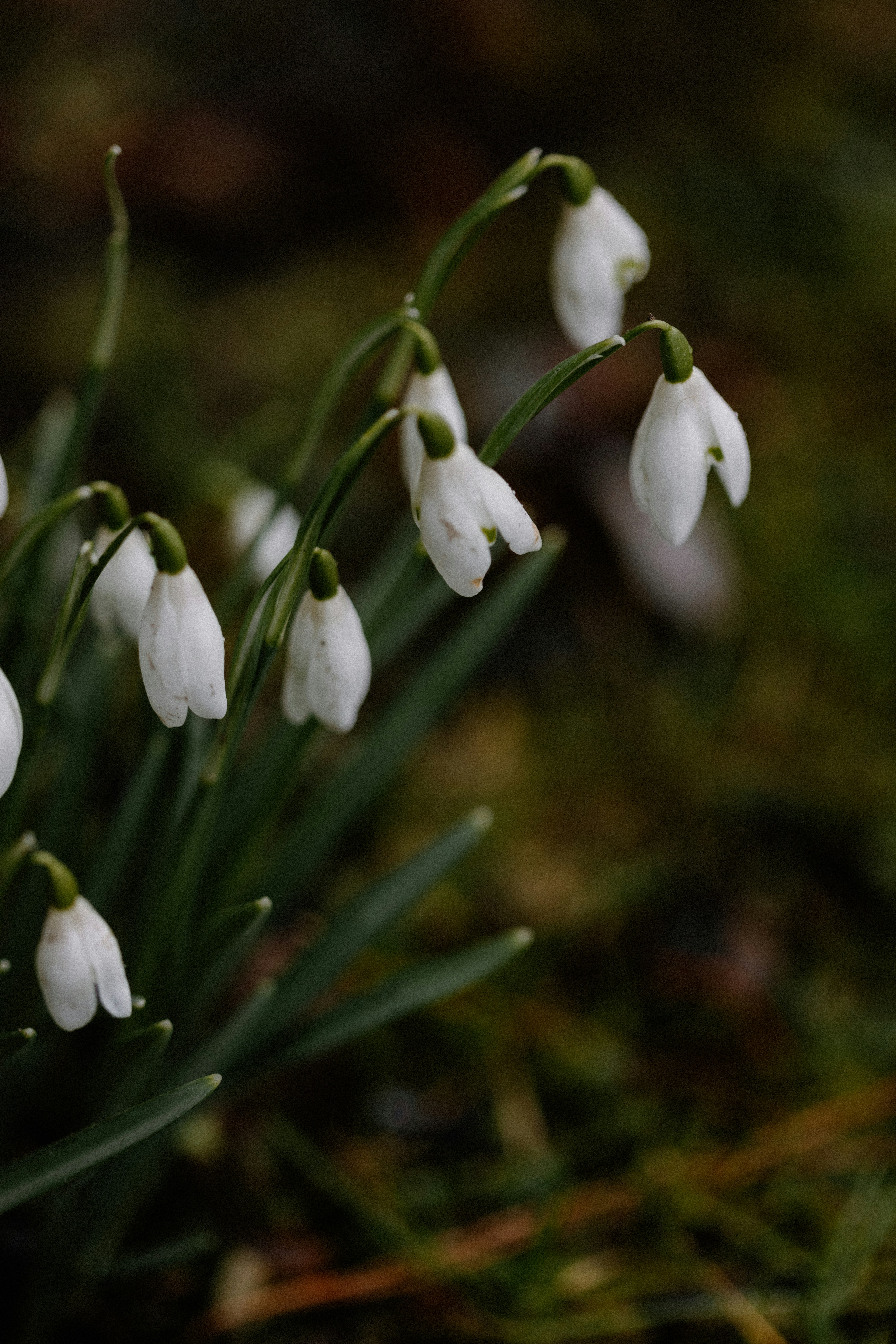 Photo by anniespratt