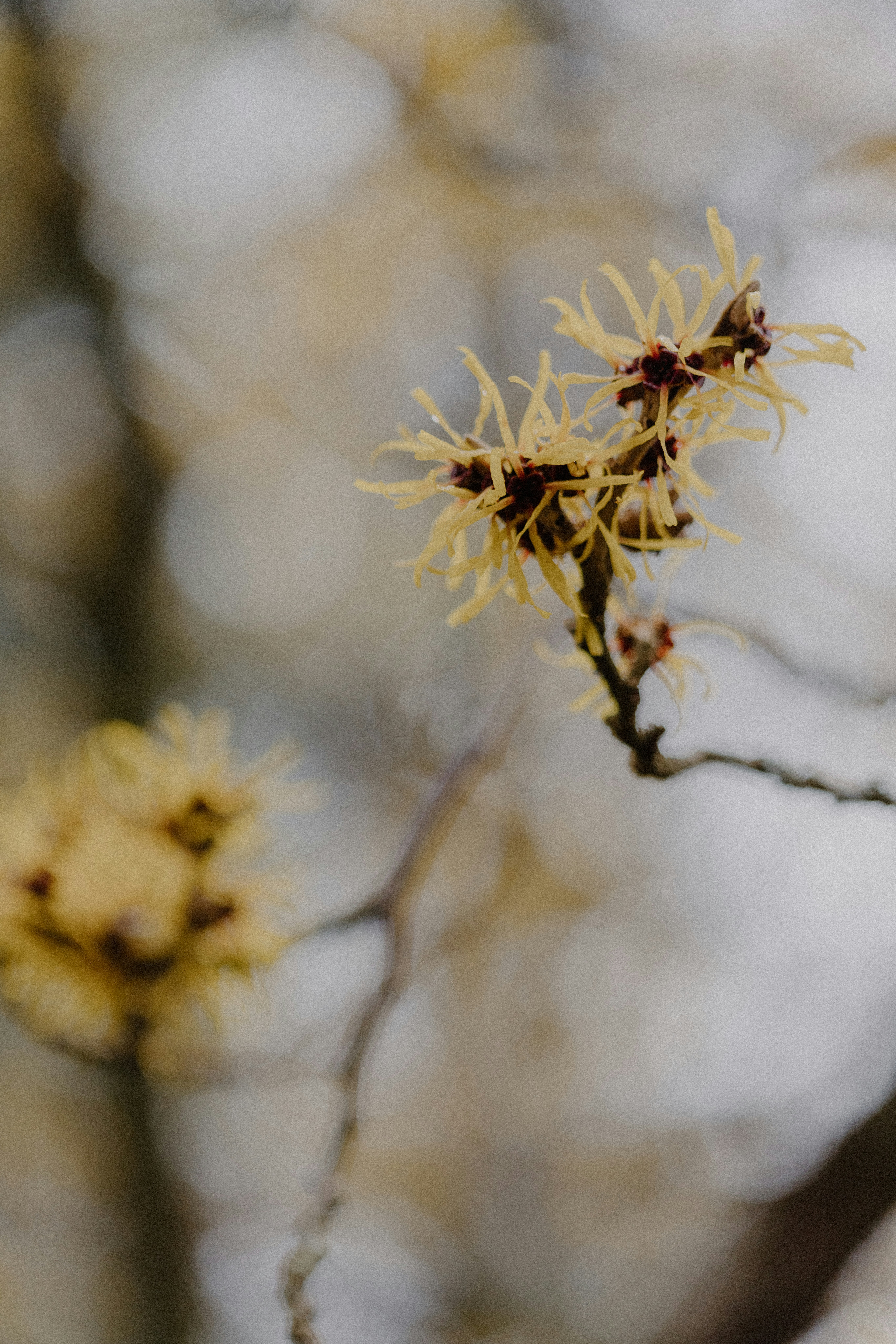 Photo by anniespratt