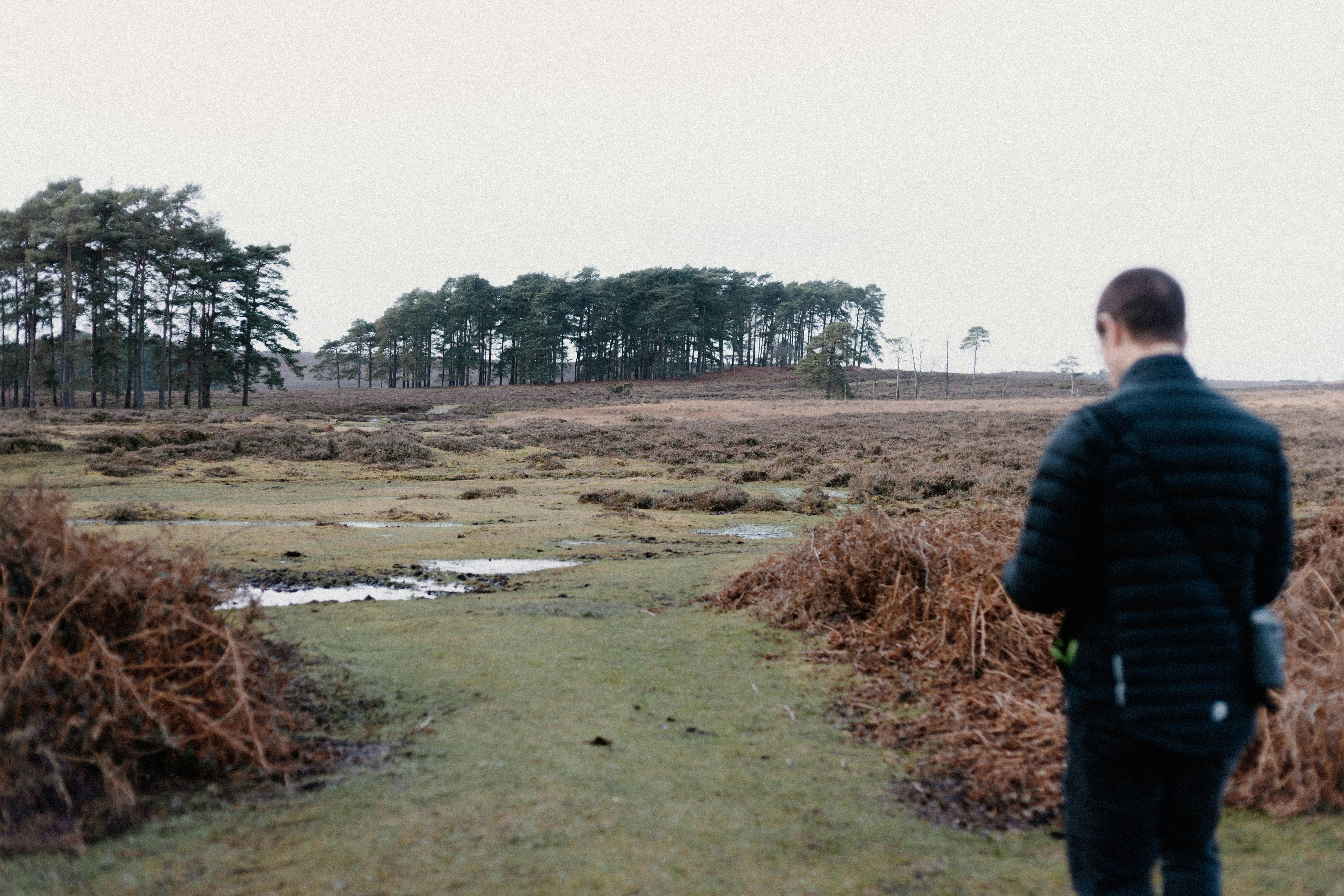 Photo by anniespratt