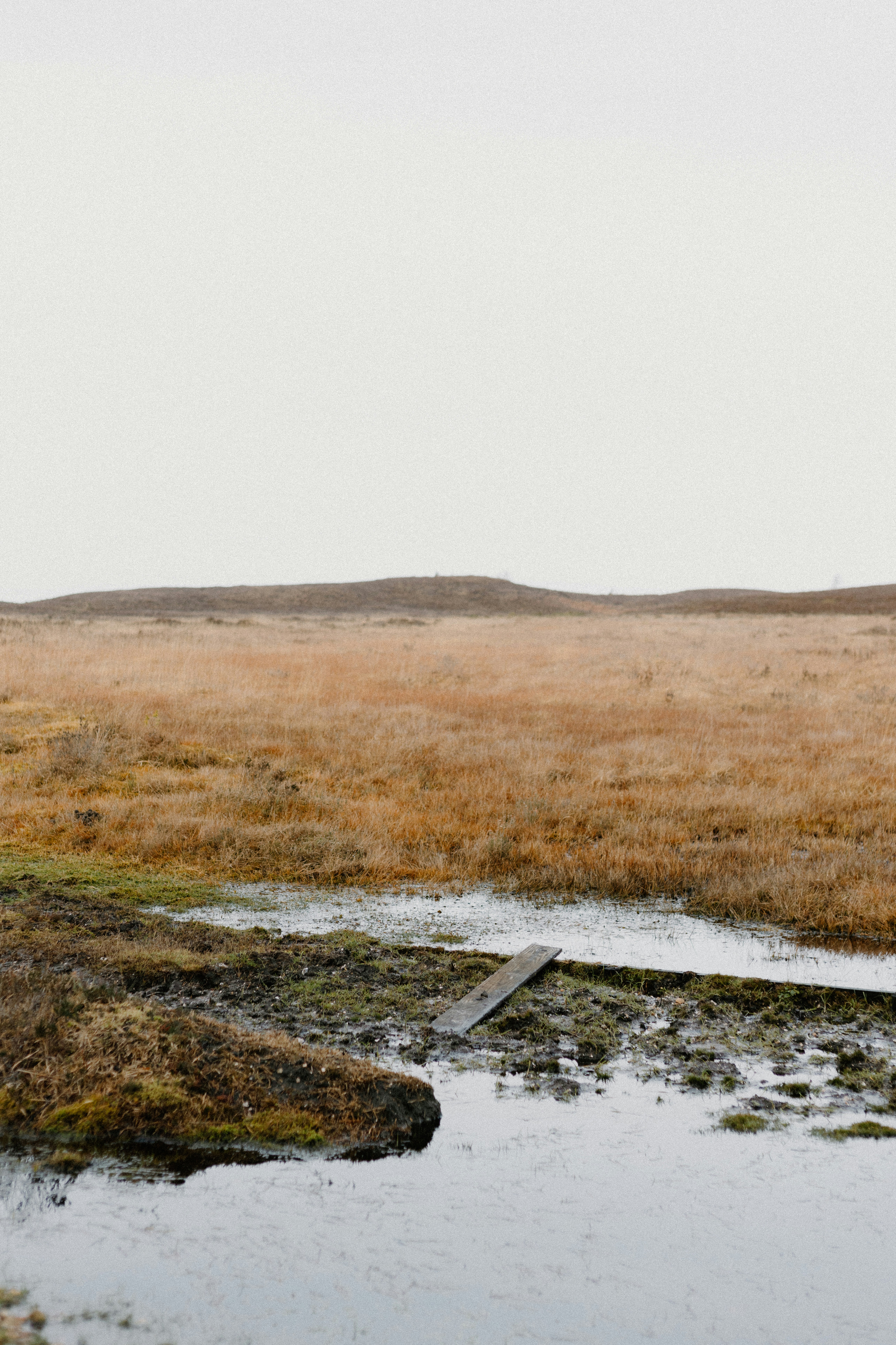 Photo by anniespratt