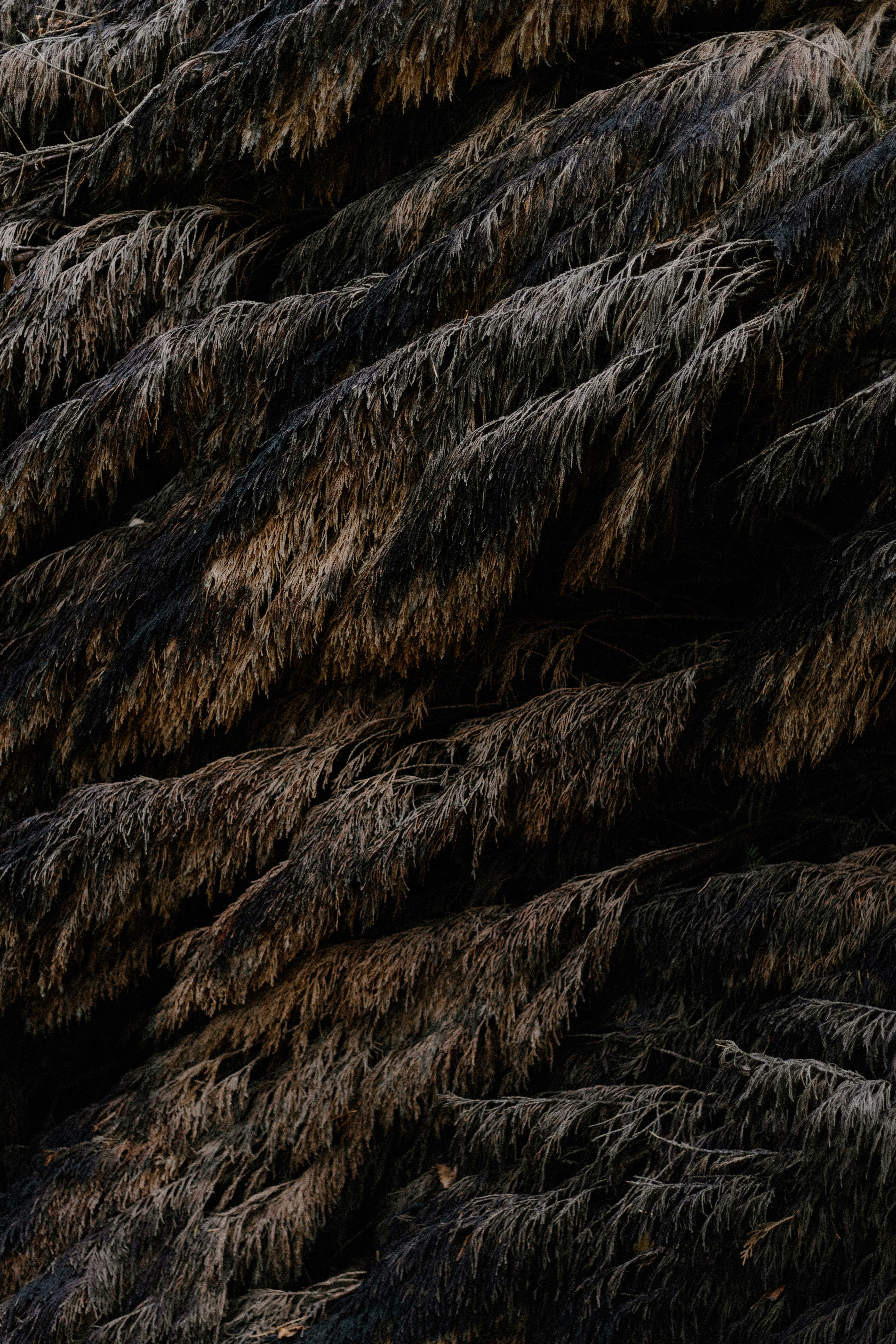 Photo by anniespratt