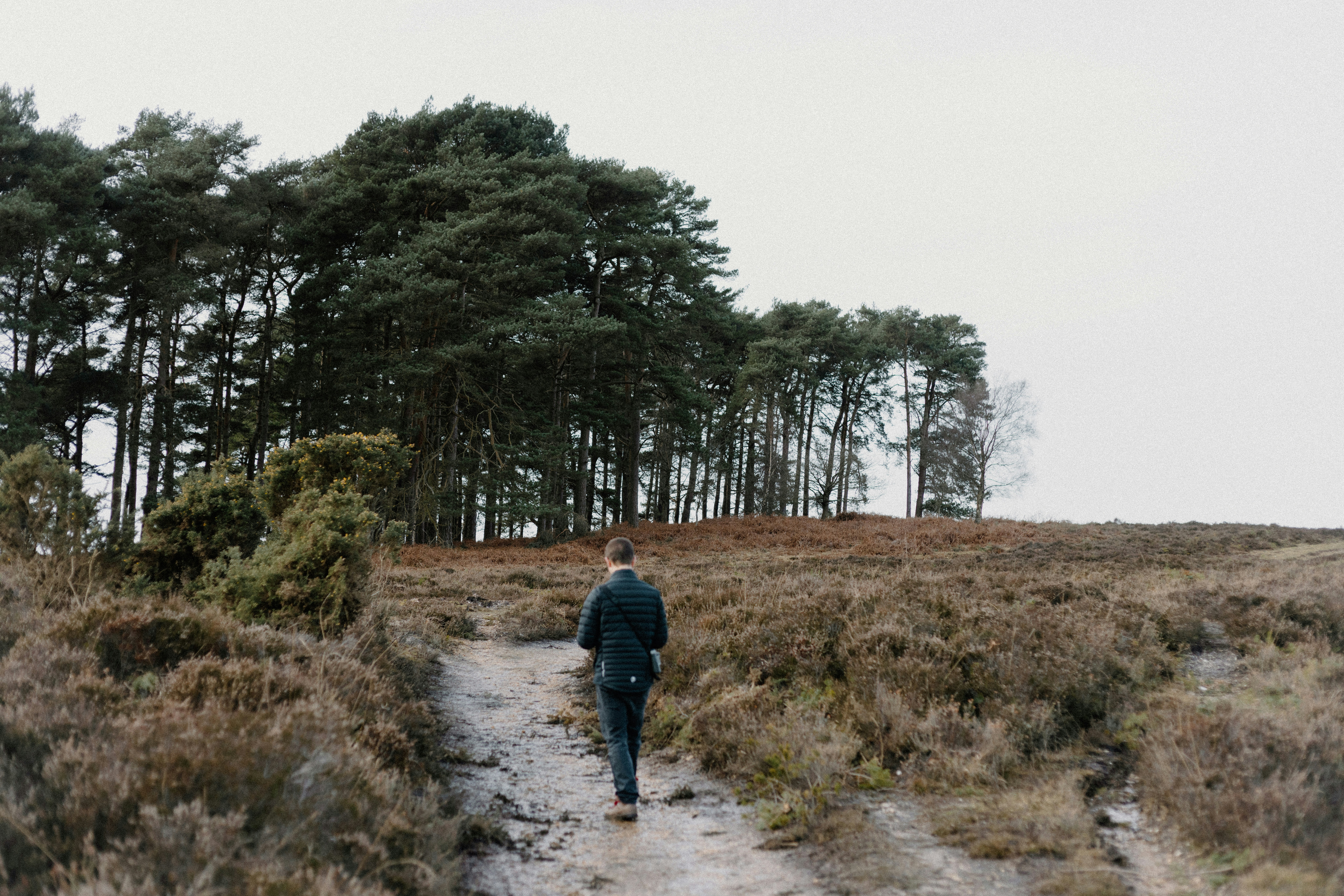 Photo by anniespratt
