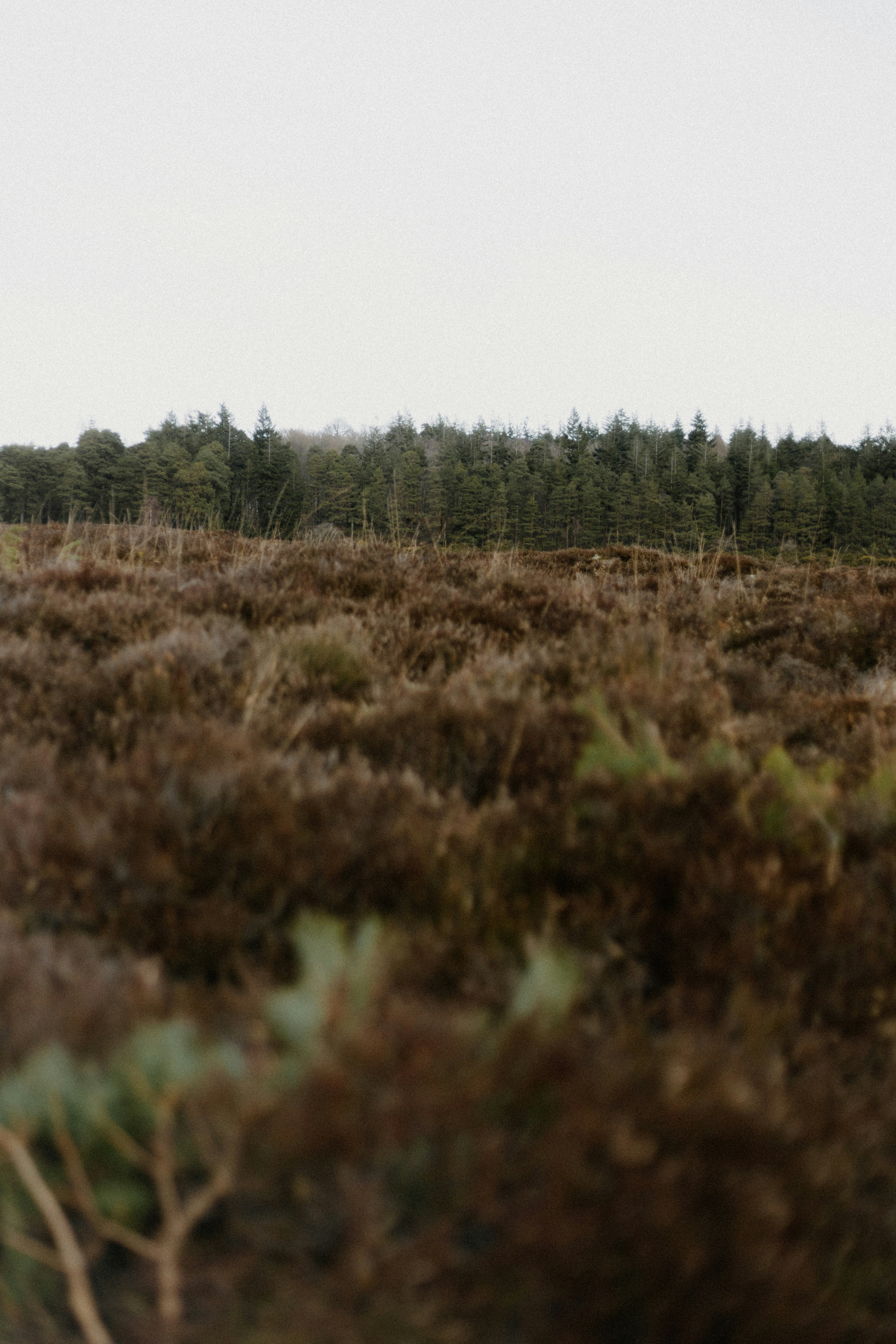 Photo by anniespratt