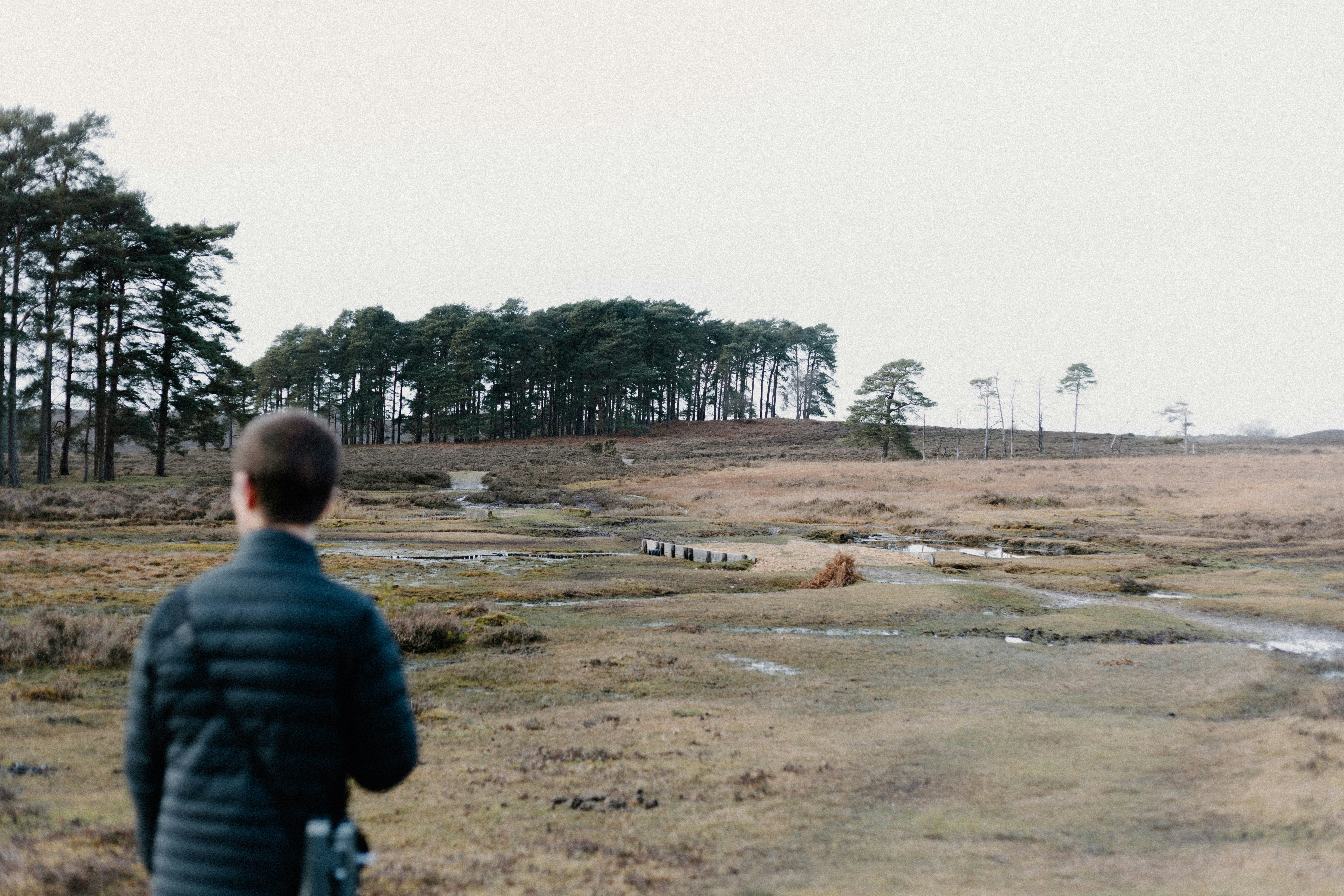 Photo by anniespratt