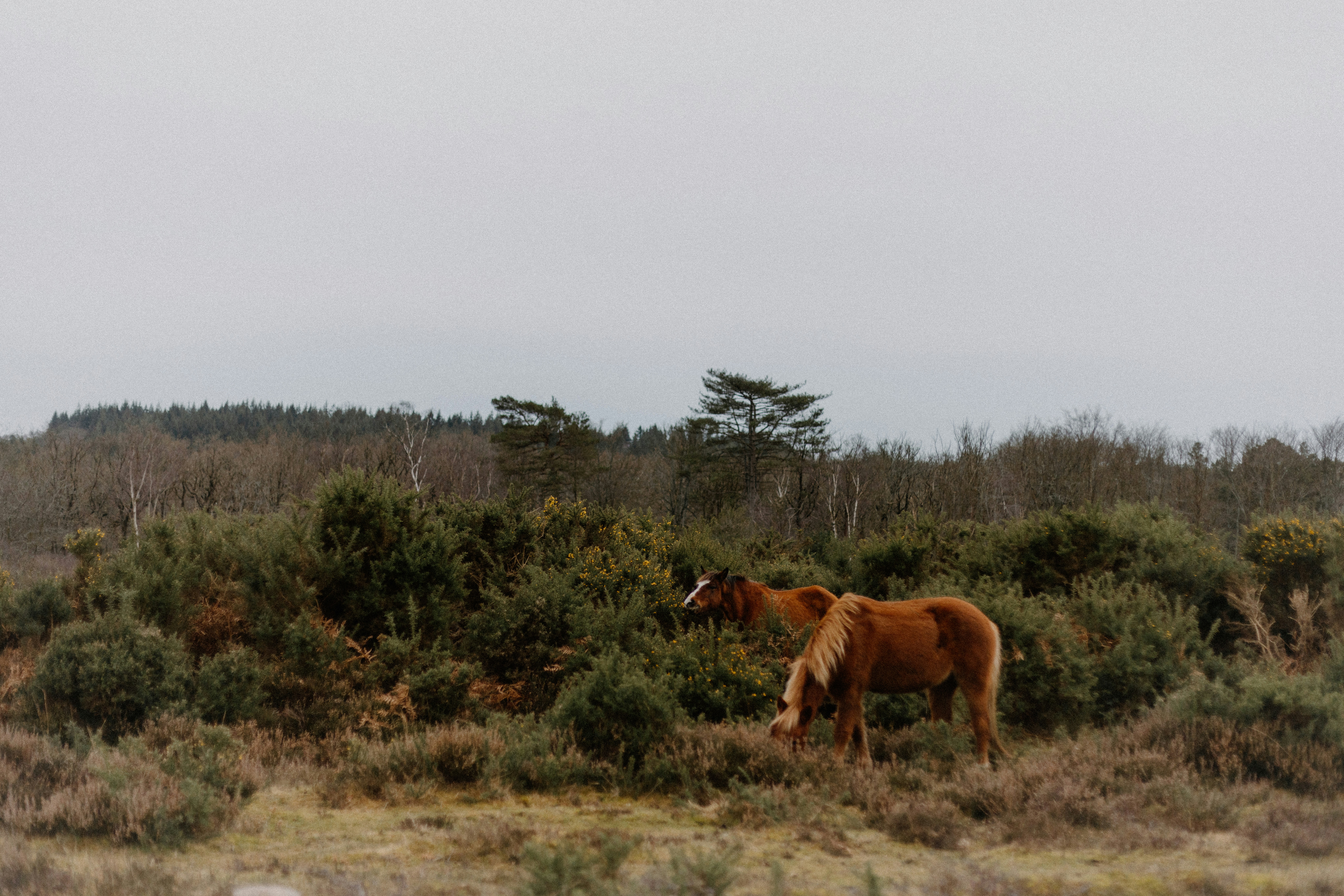 Photo by anniespratt