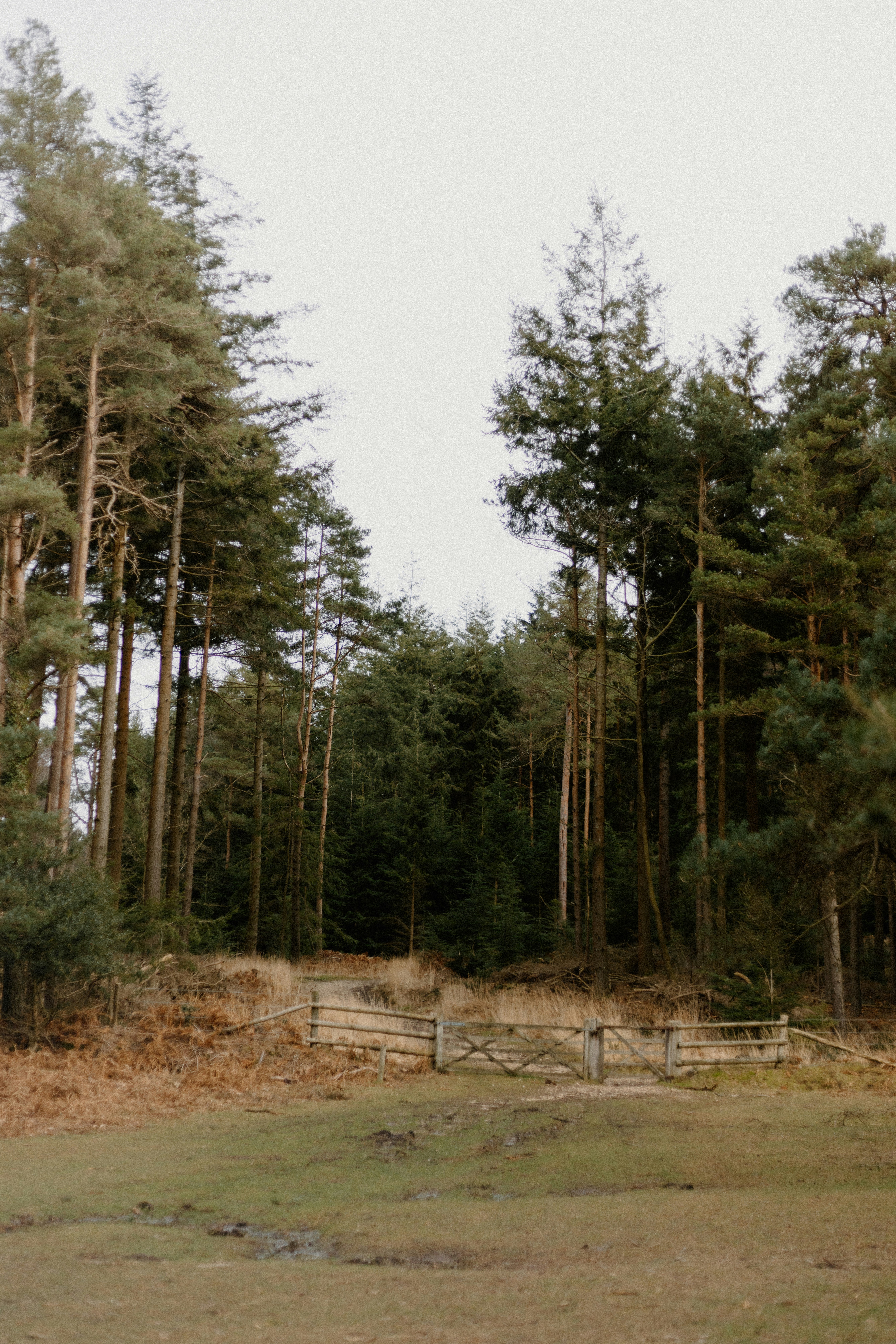 Photo by anniespratt