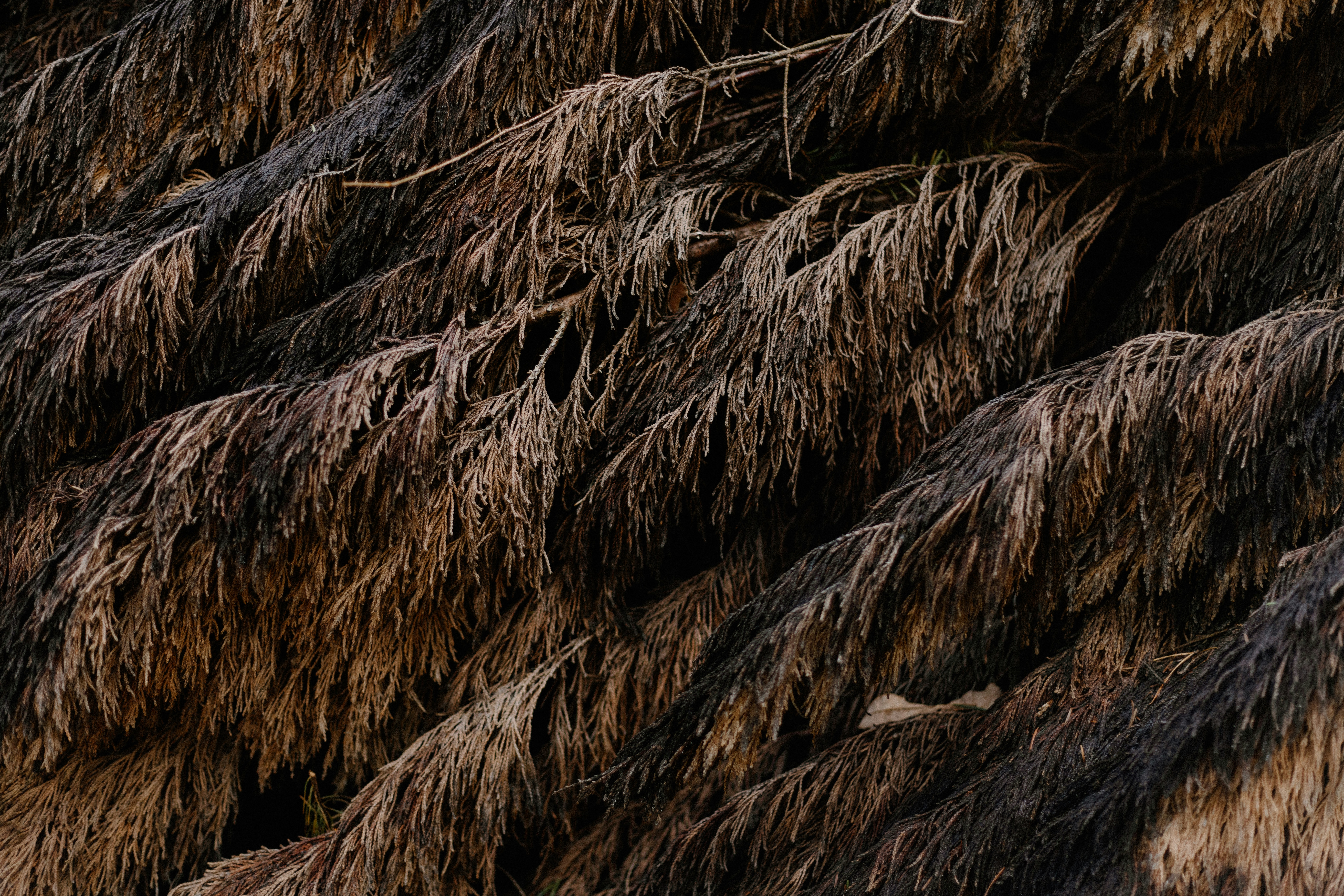 Photo by anniespratt