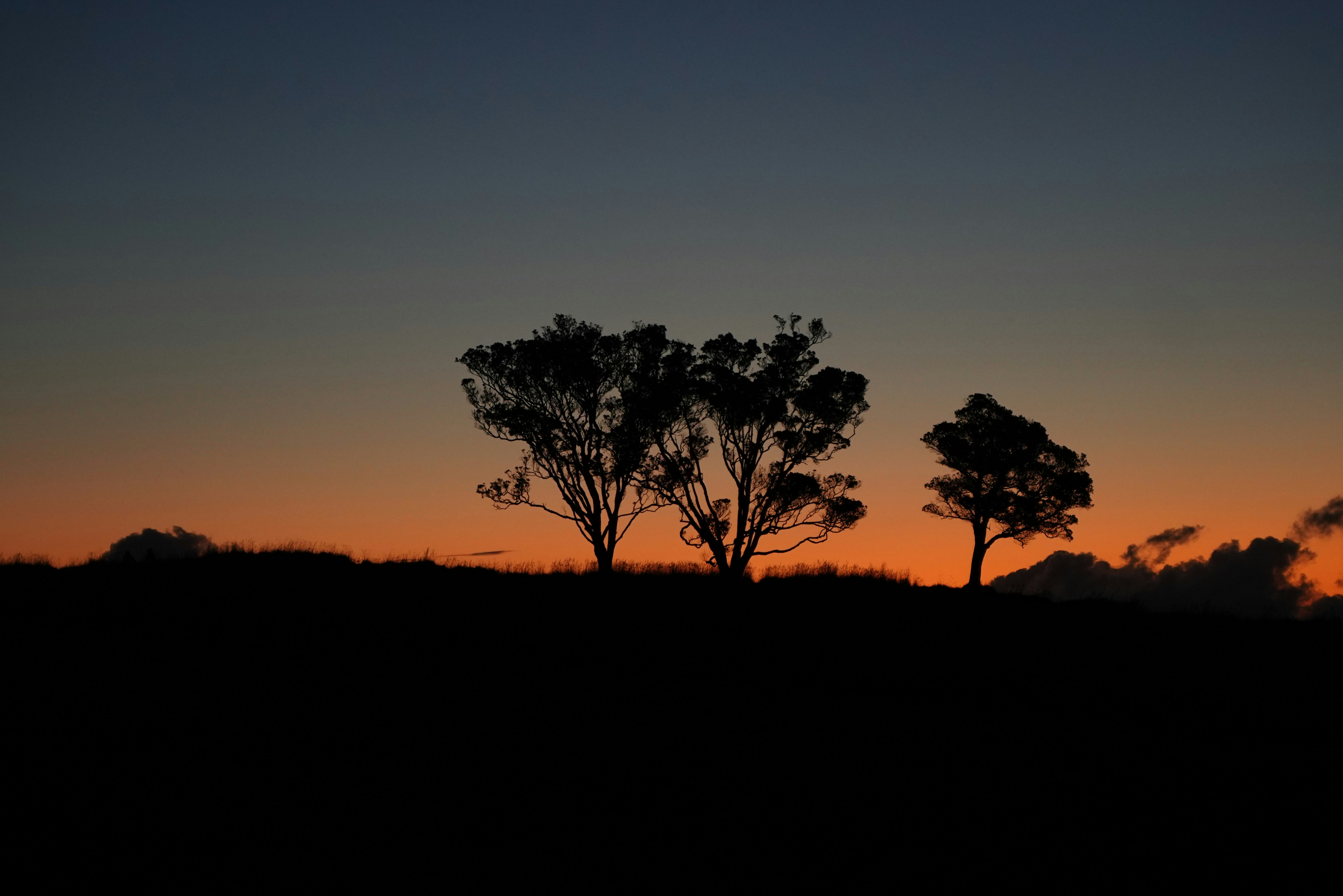 Photo by superxcalvin