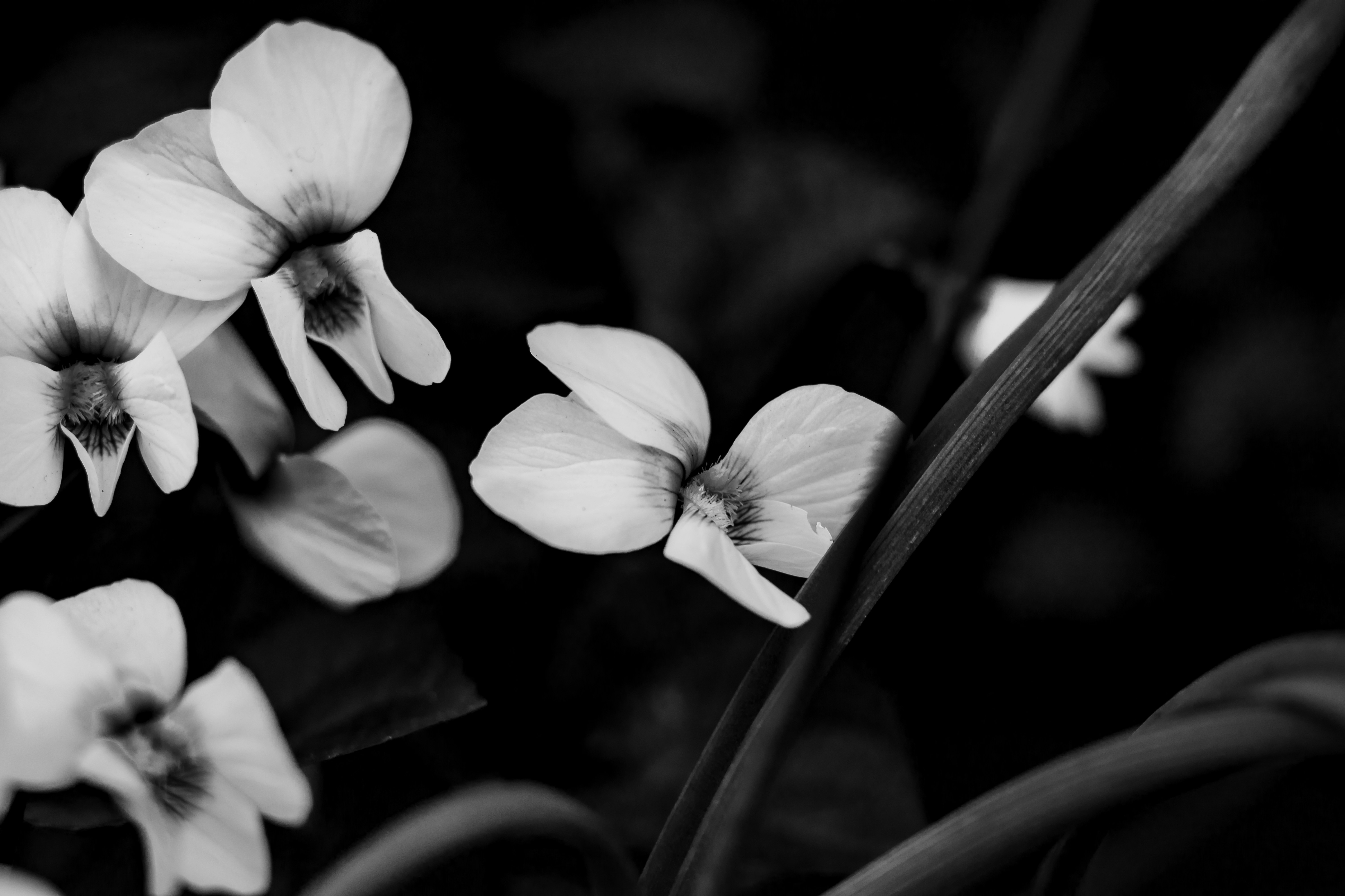 Photo by mineral_of_demon