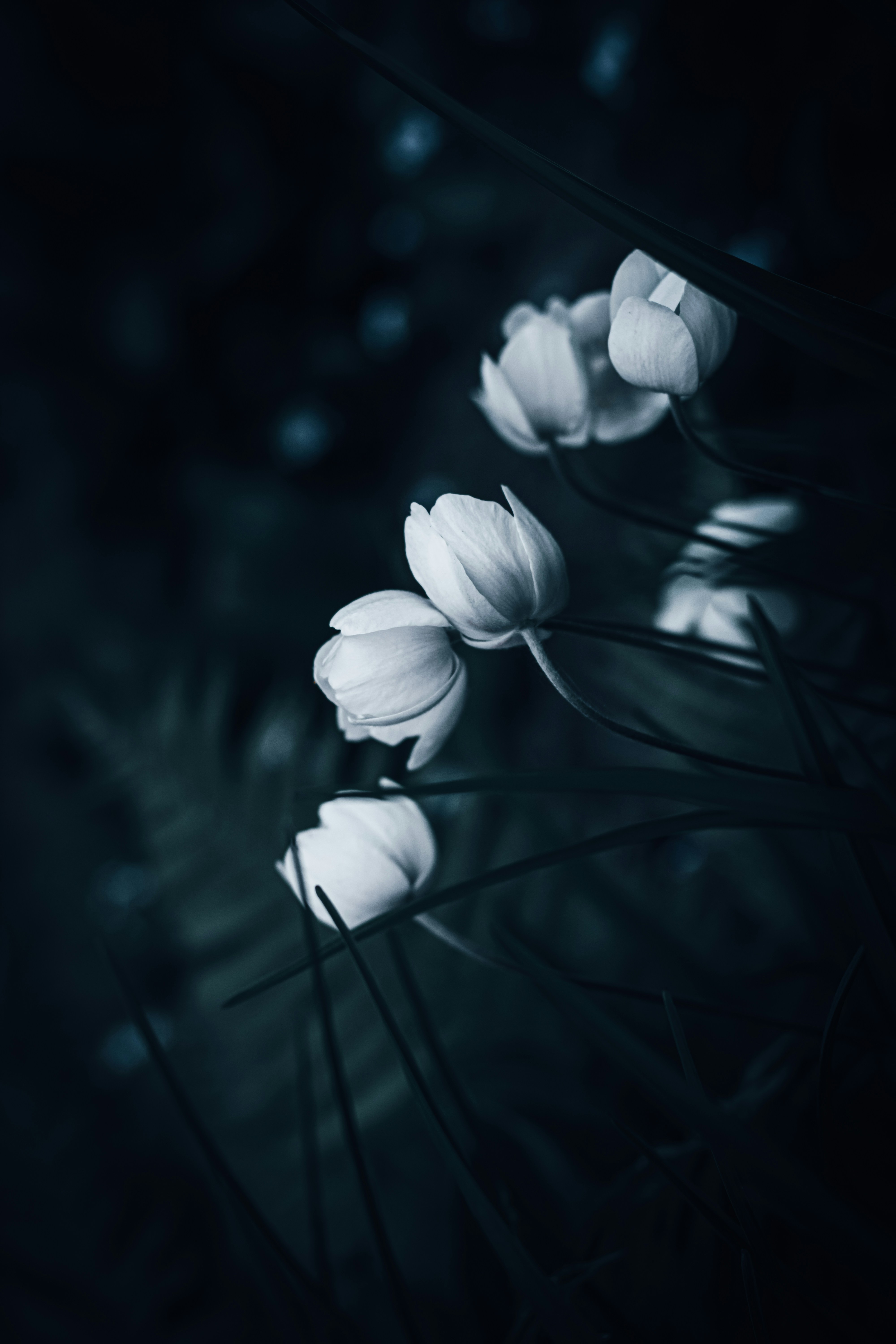 Photo by mineral_of_demon