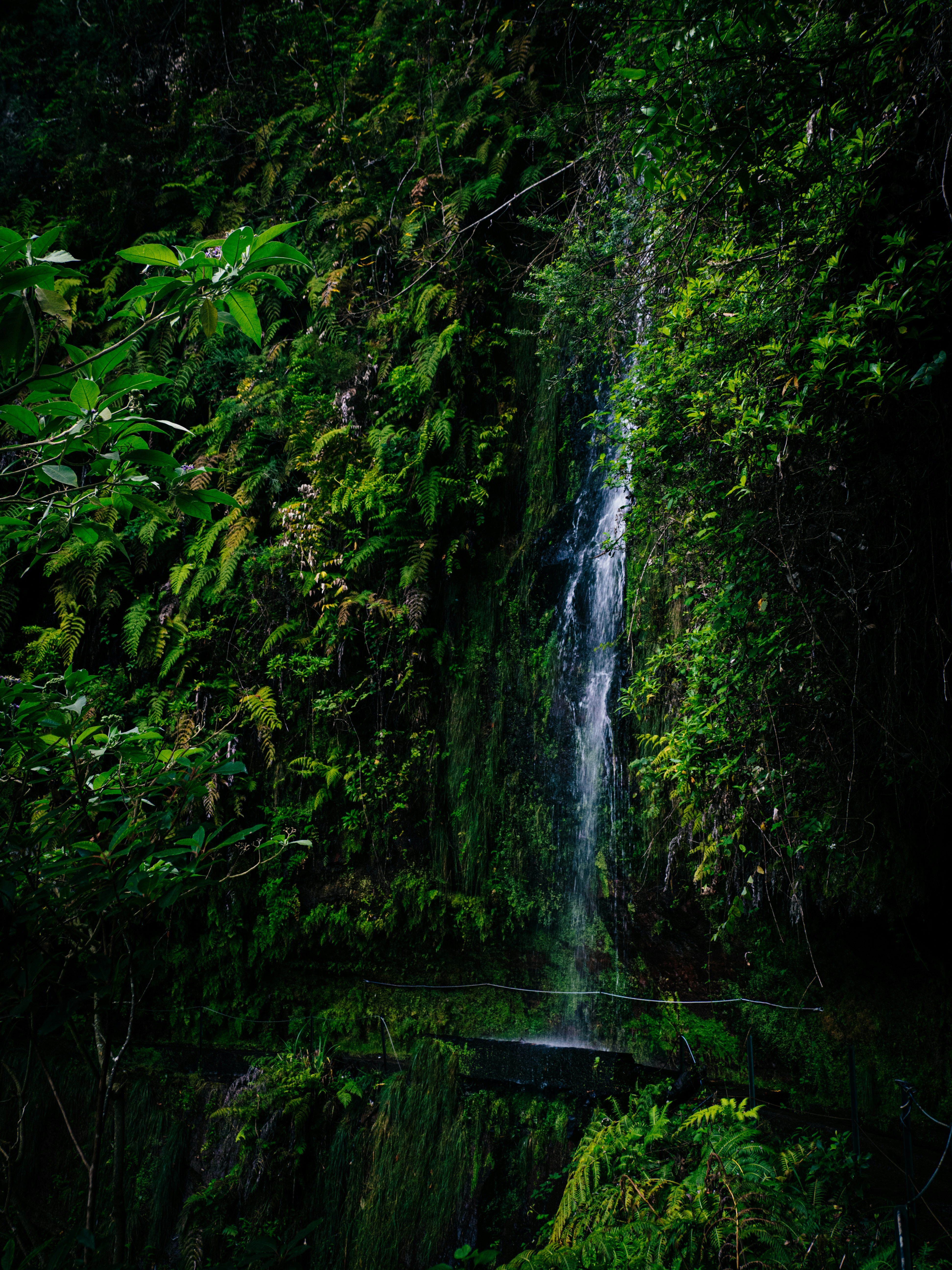 Photo by mszerszynski