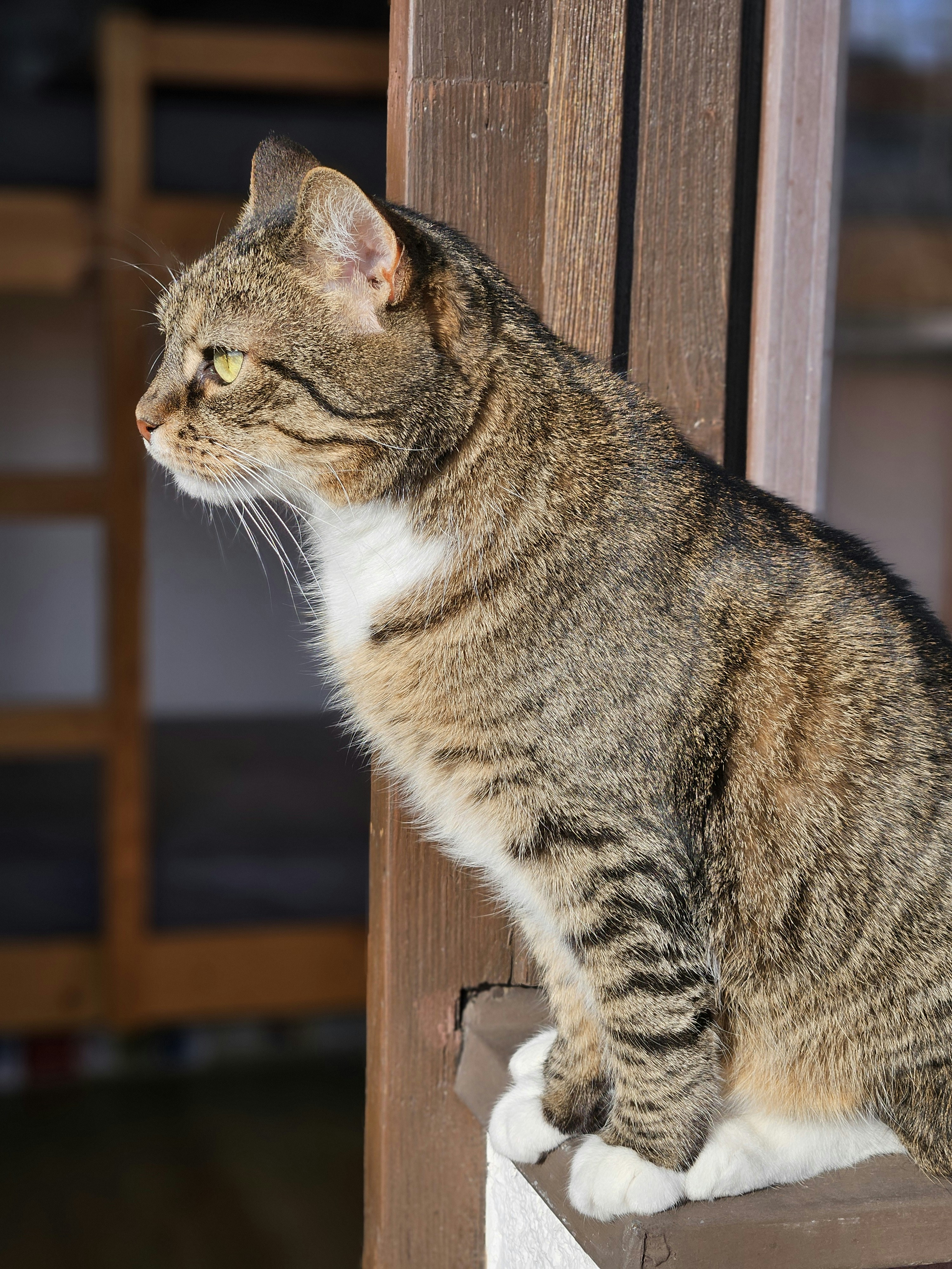 Photo by marjorylucabaxter