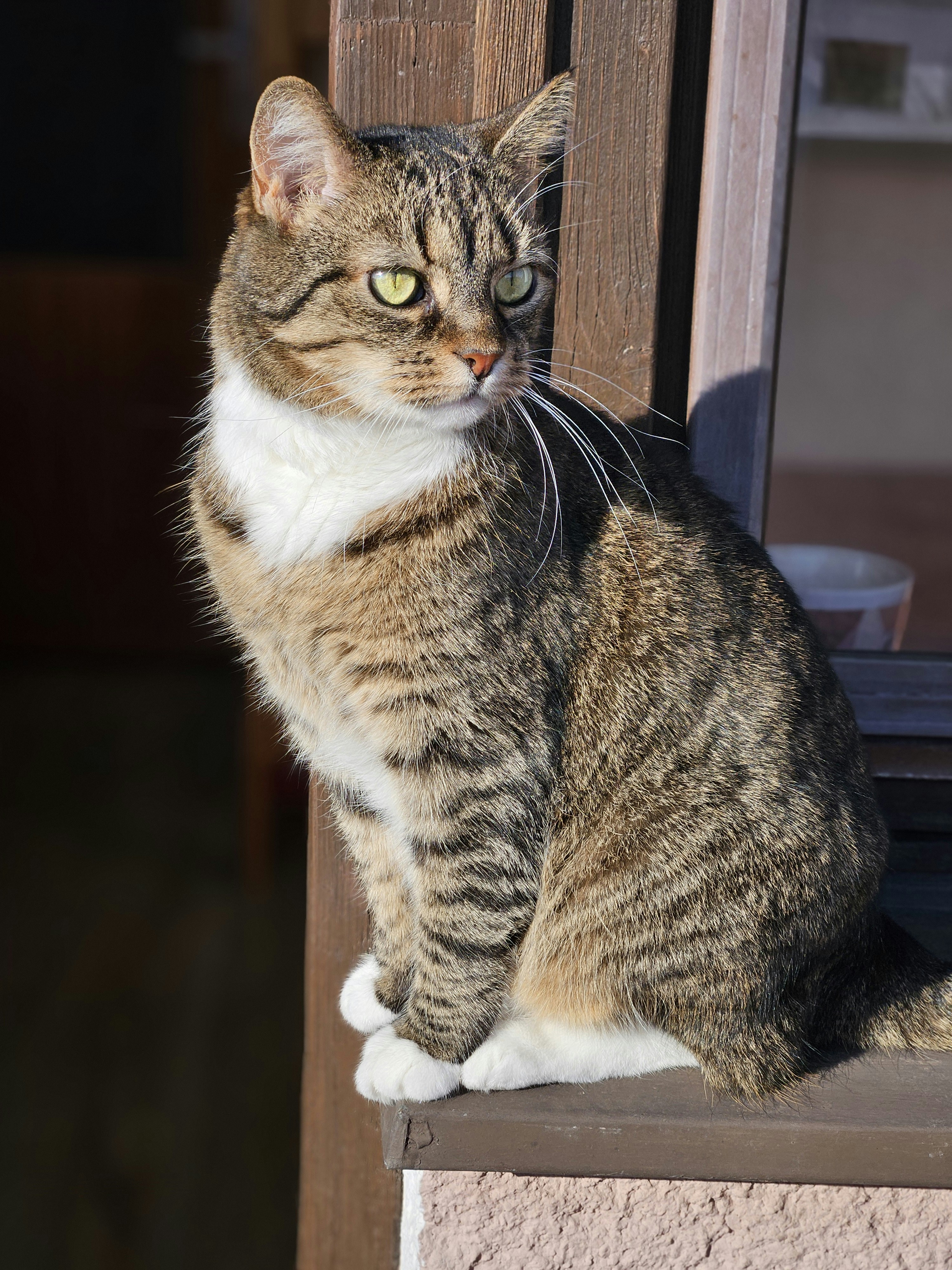 Photo by marjorylucabaxter