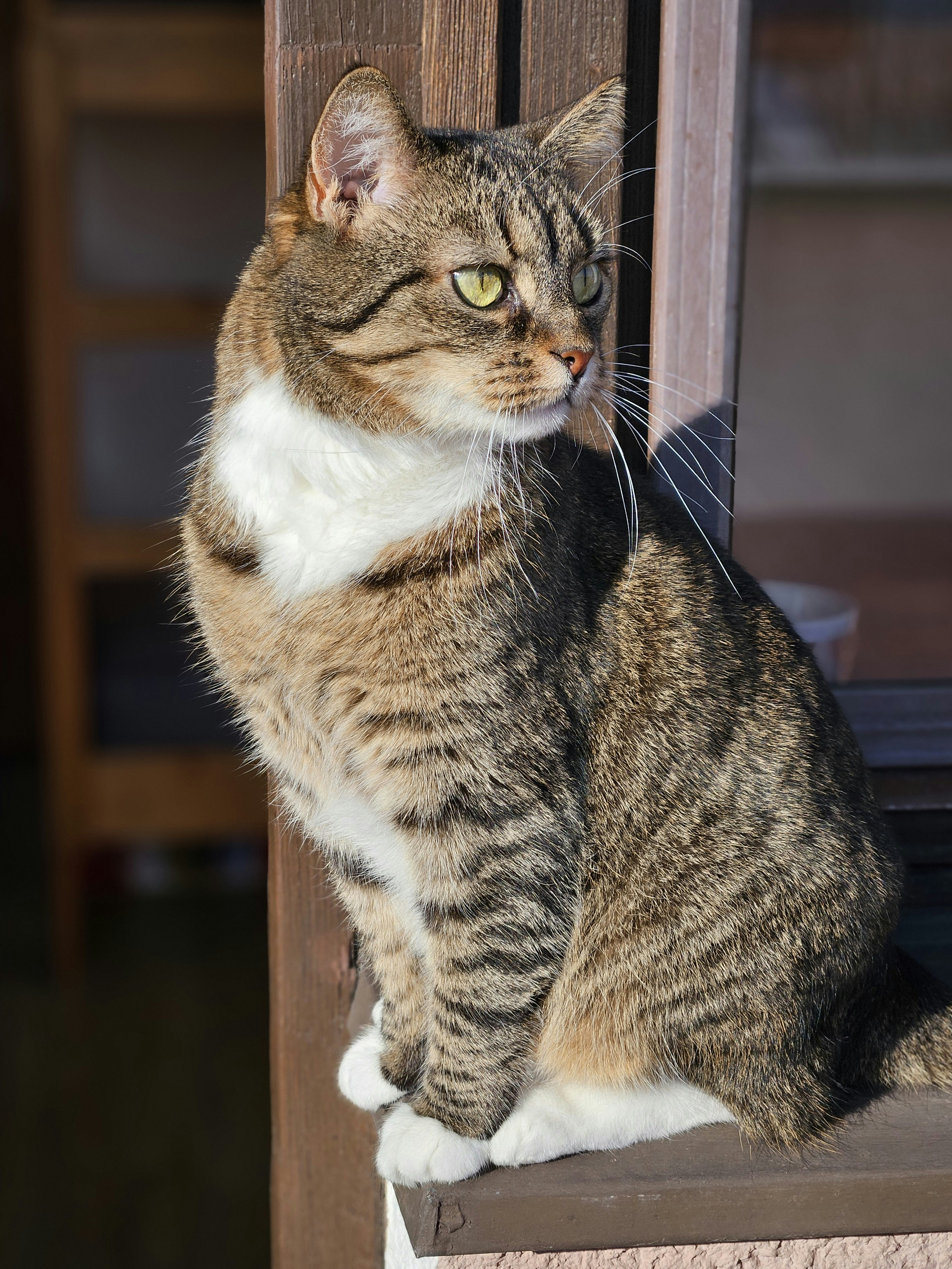 Photo by marjorylucabaxter