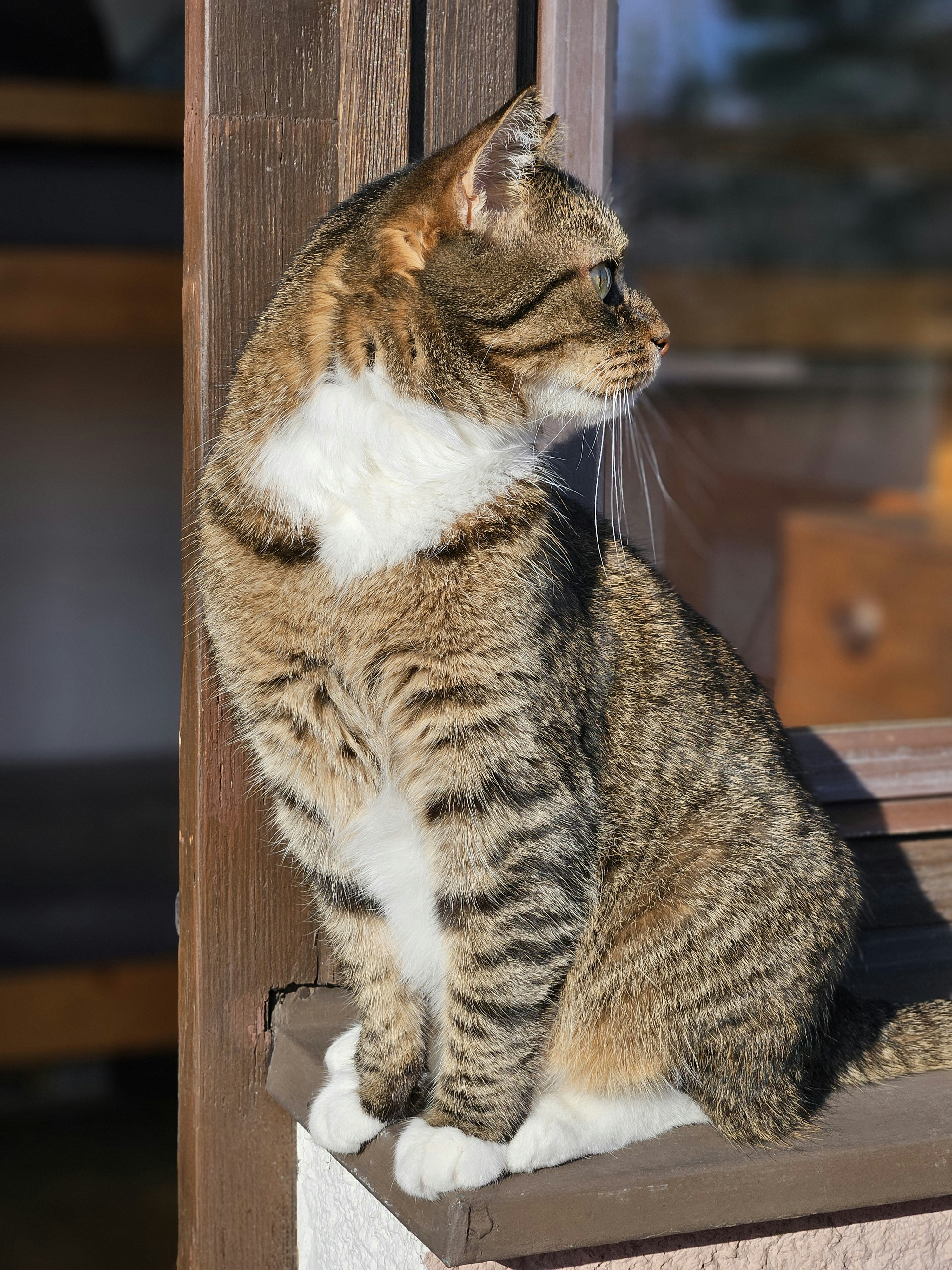 Photo by marjorylucabaxter