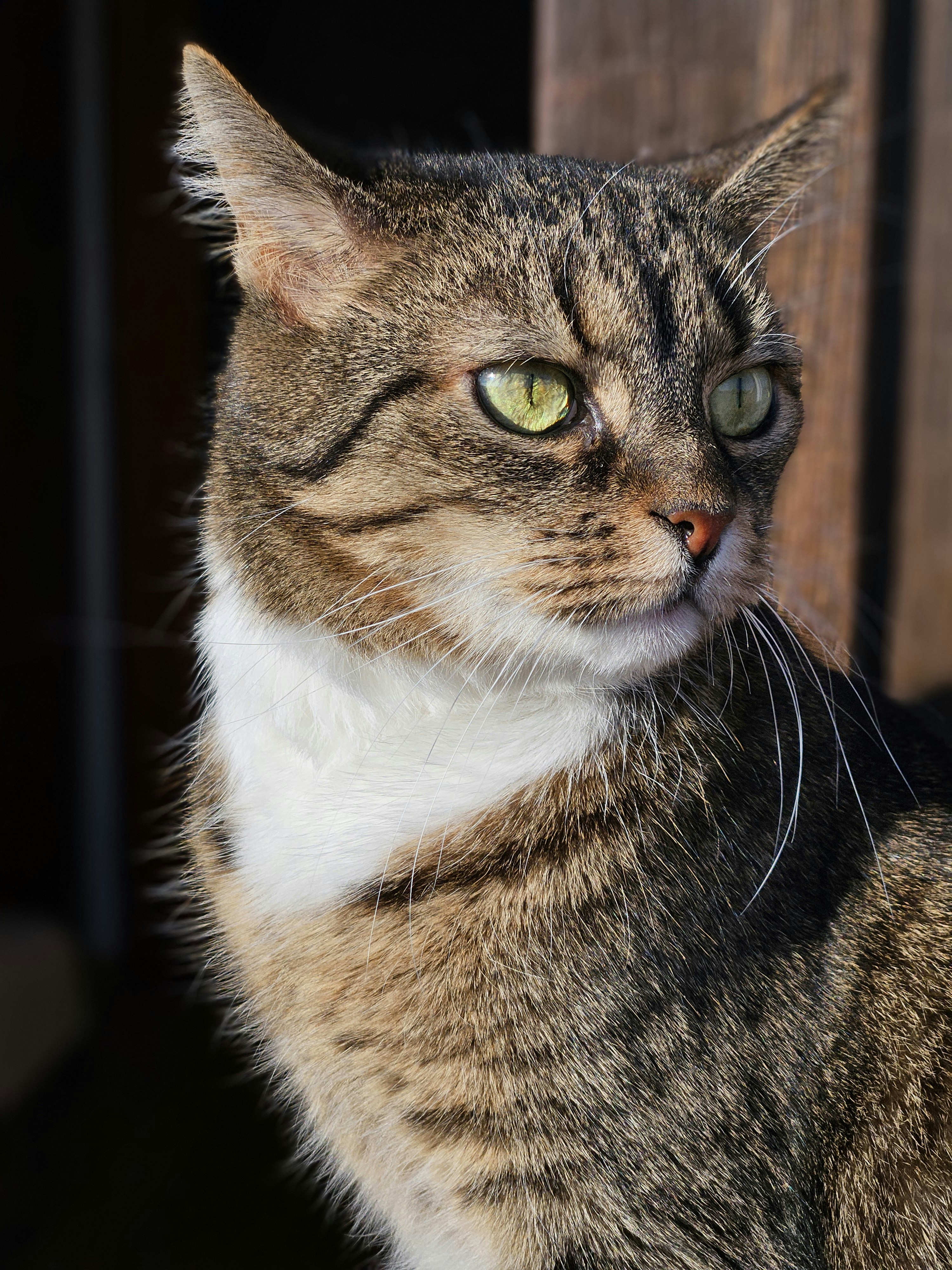 Photo by marjorylucabaxter