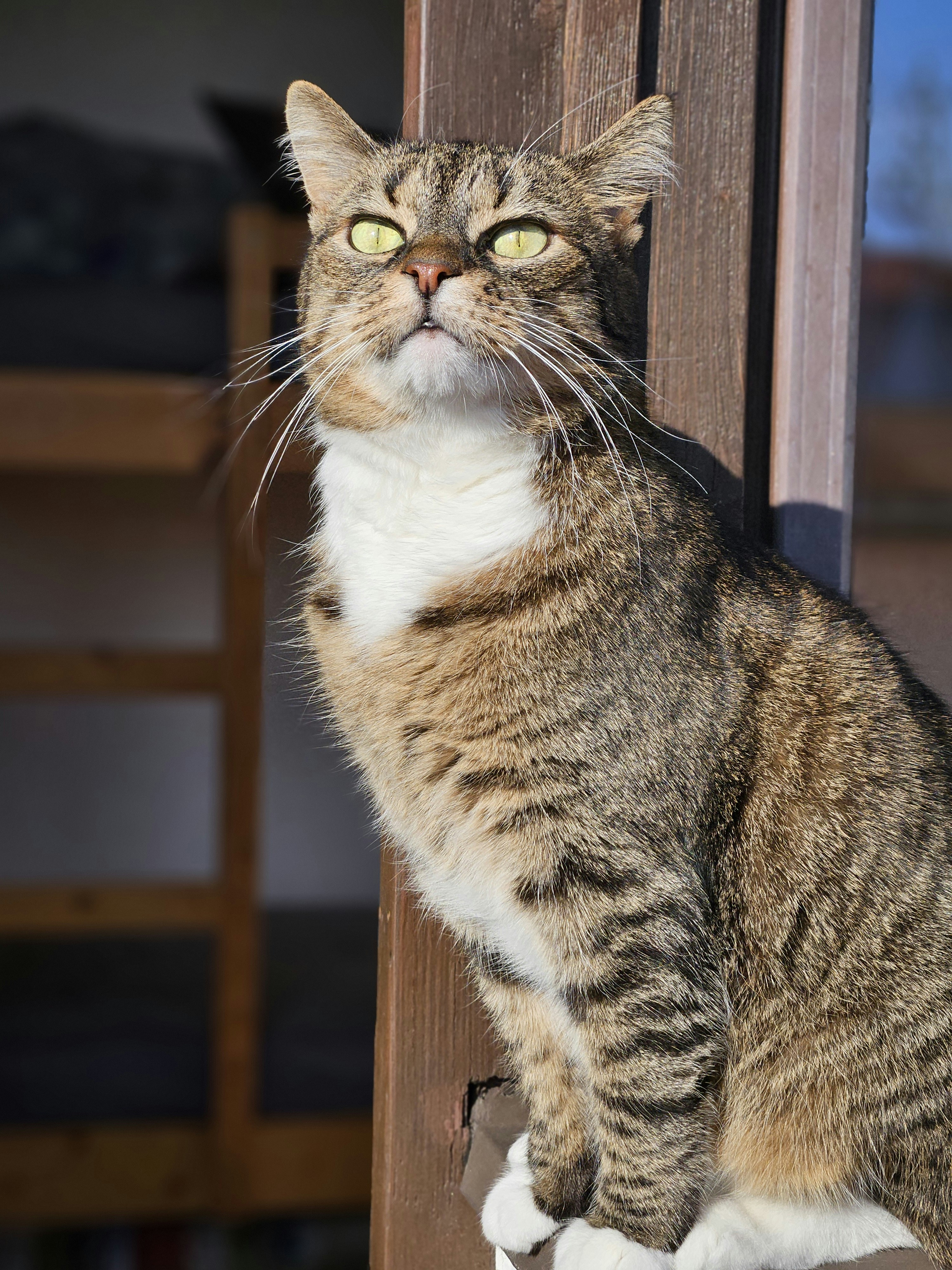 Photo by marjorylucabaxter