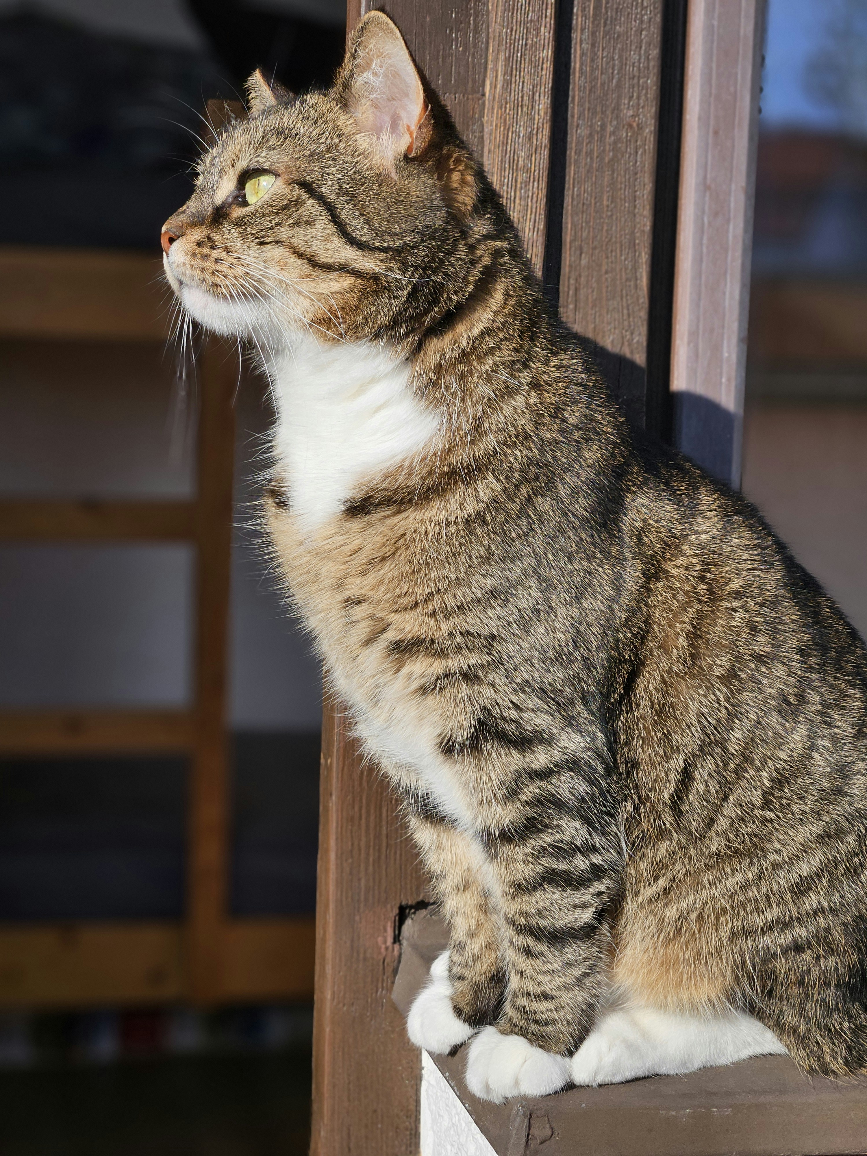 Photo by marjorylucabaxter