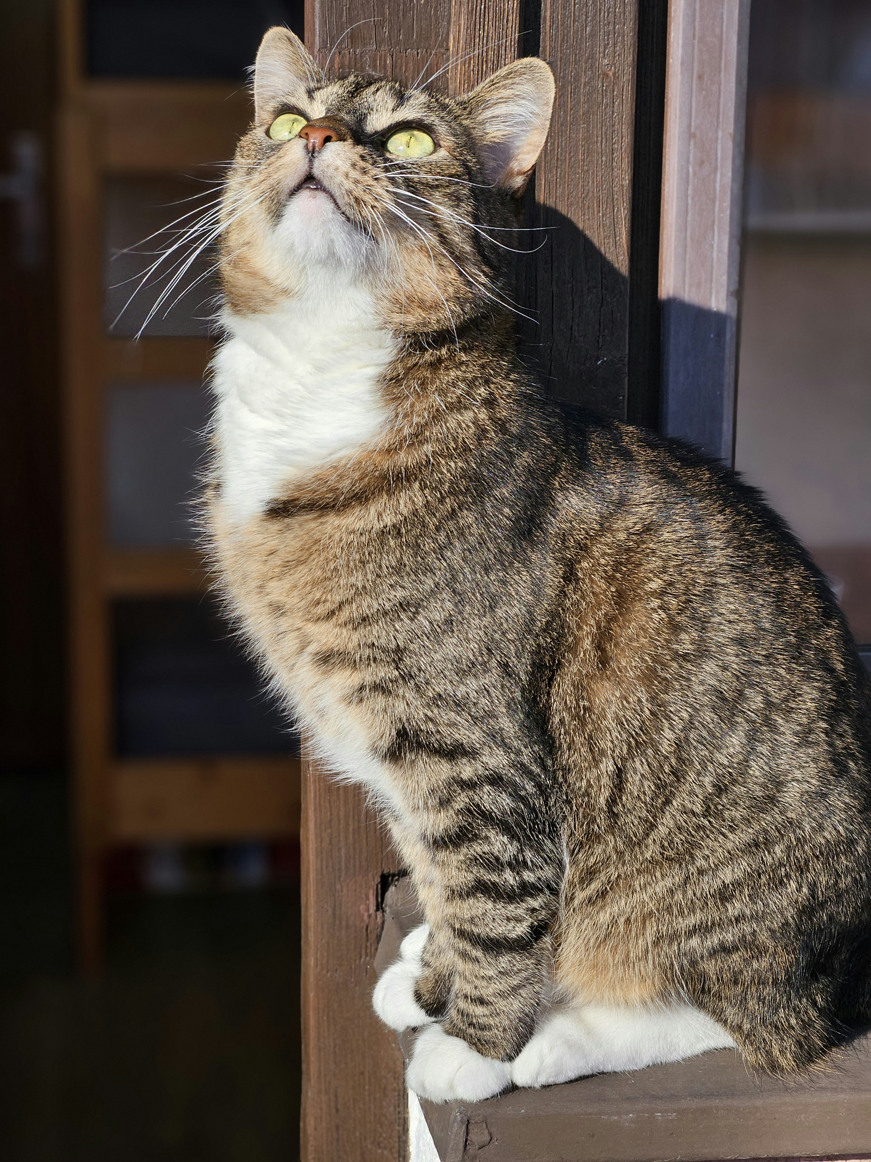 Photo by marjorylucabaxter