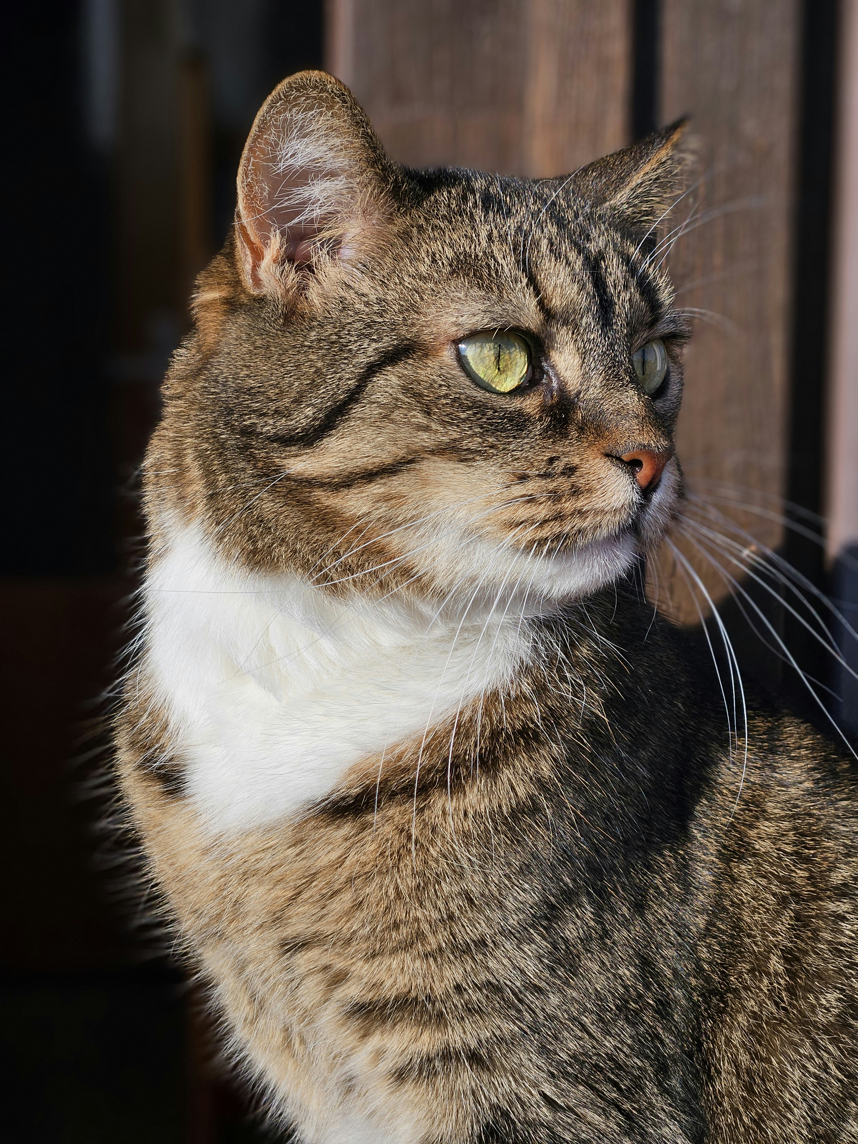 Photo by marjorylucabaxter