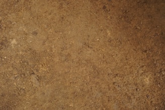 A close up of a person's shoes on the ground
