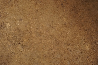 A close up of a person's shoes on the ground