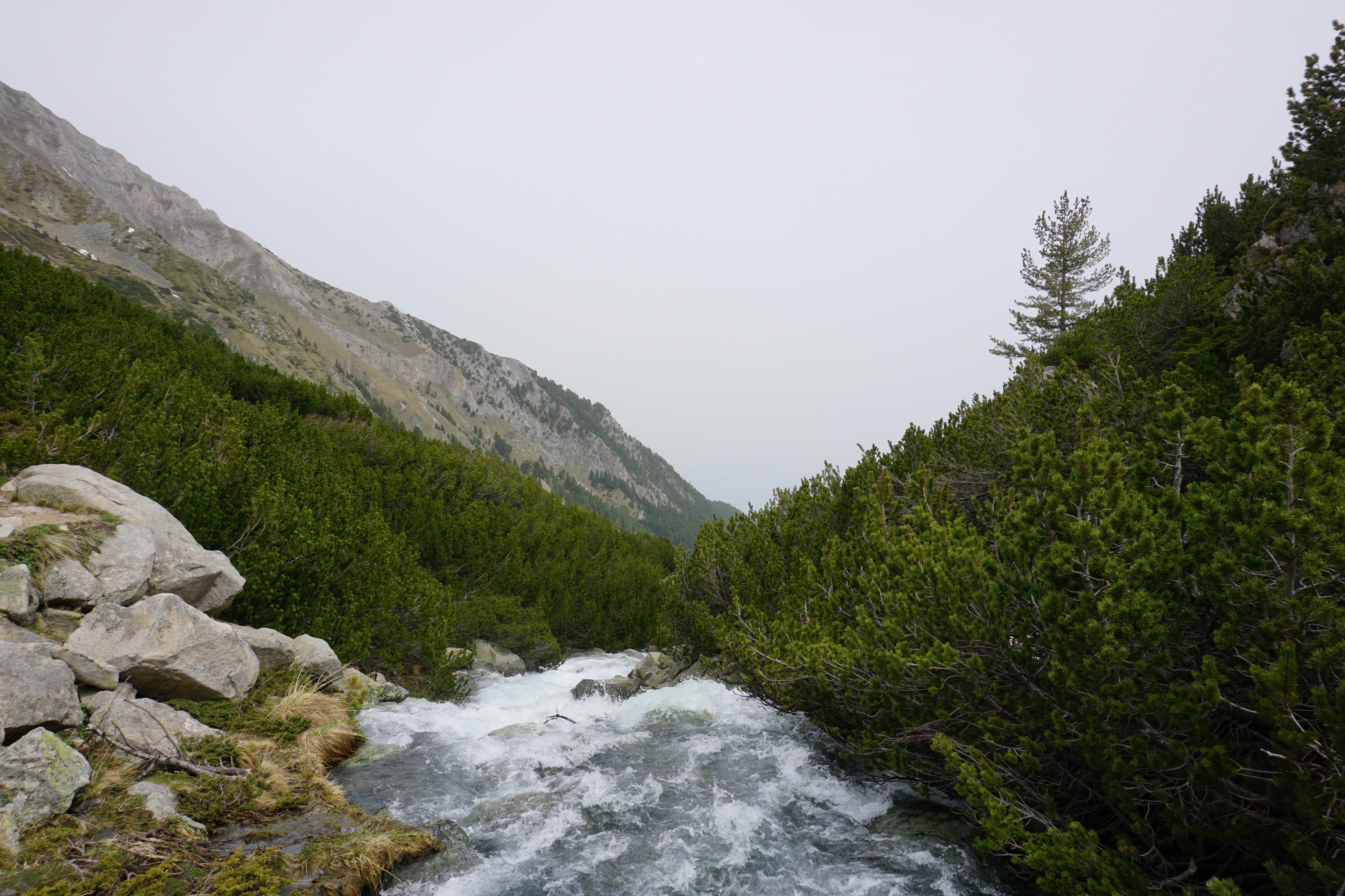 Photo by desislava66