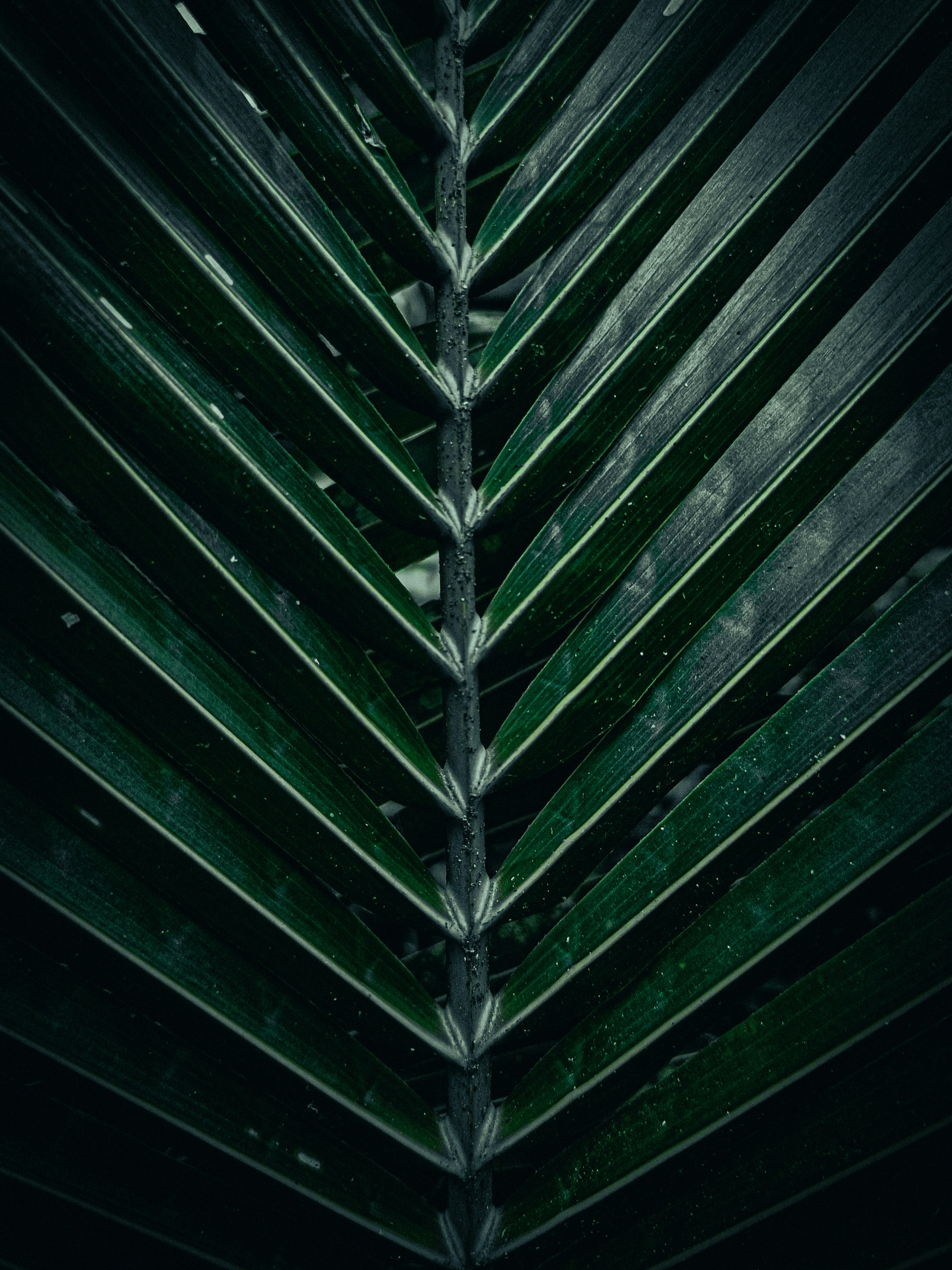 Photo by kristinemaemillano