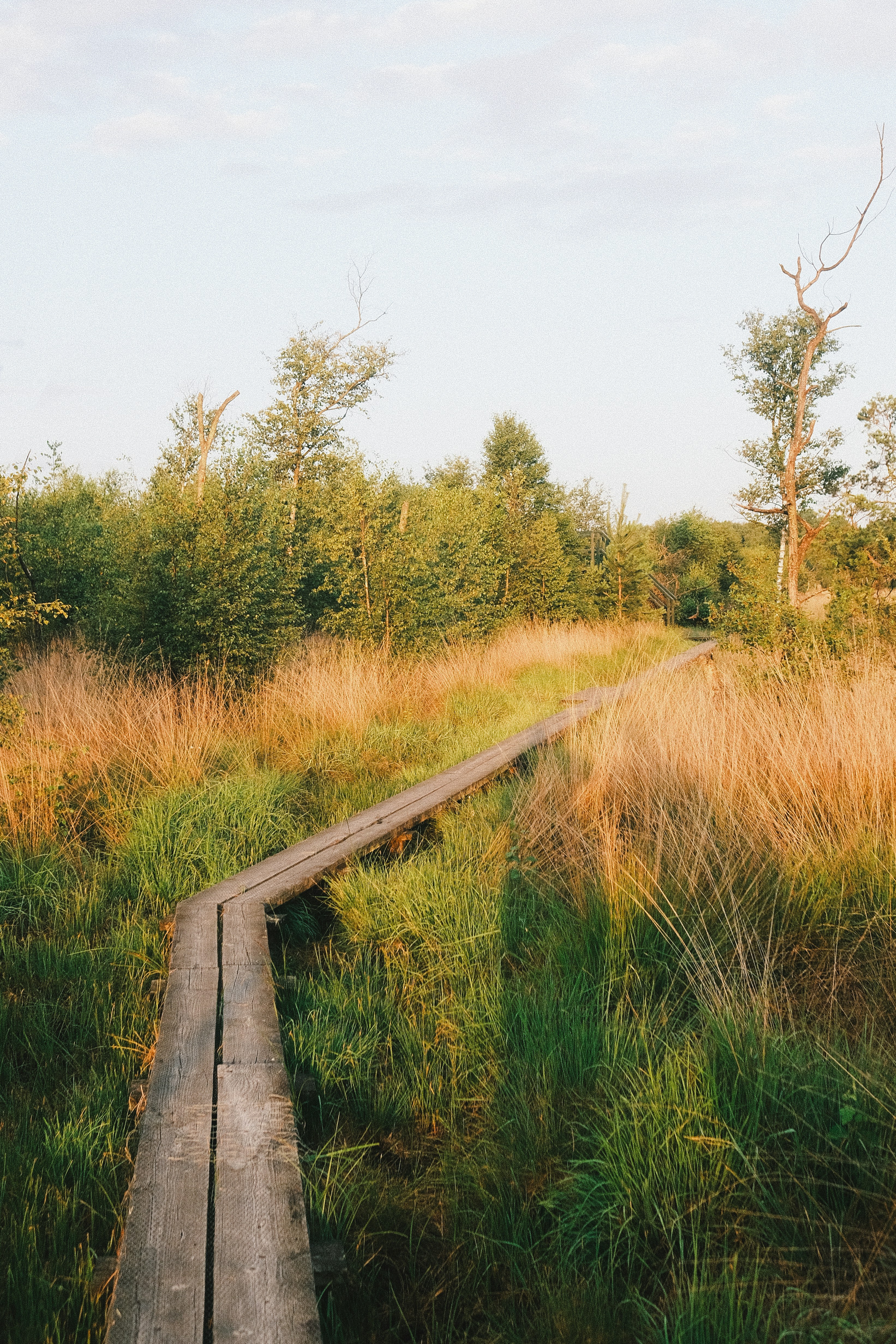 Photo by visualsbying