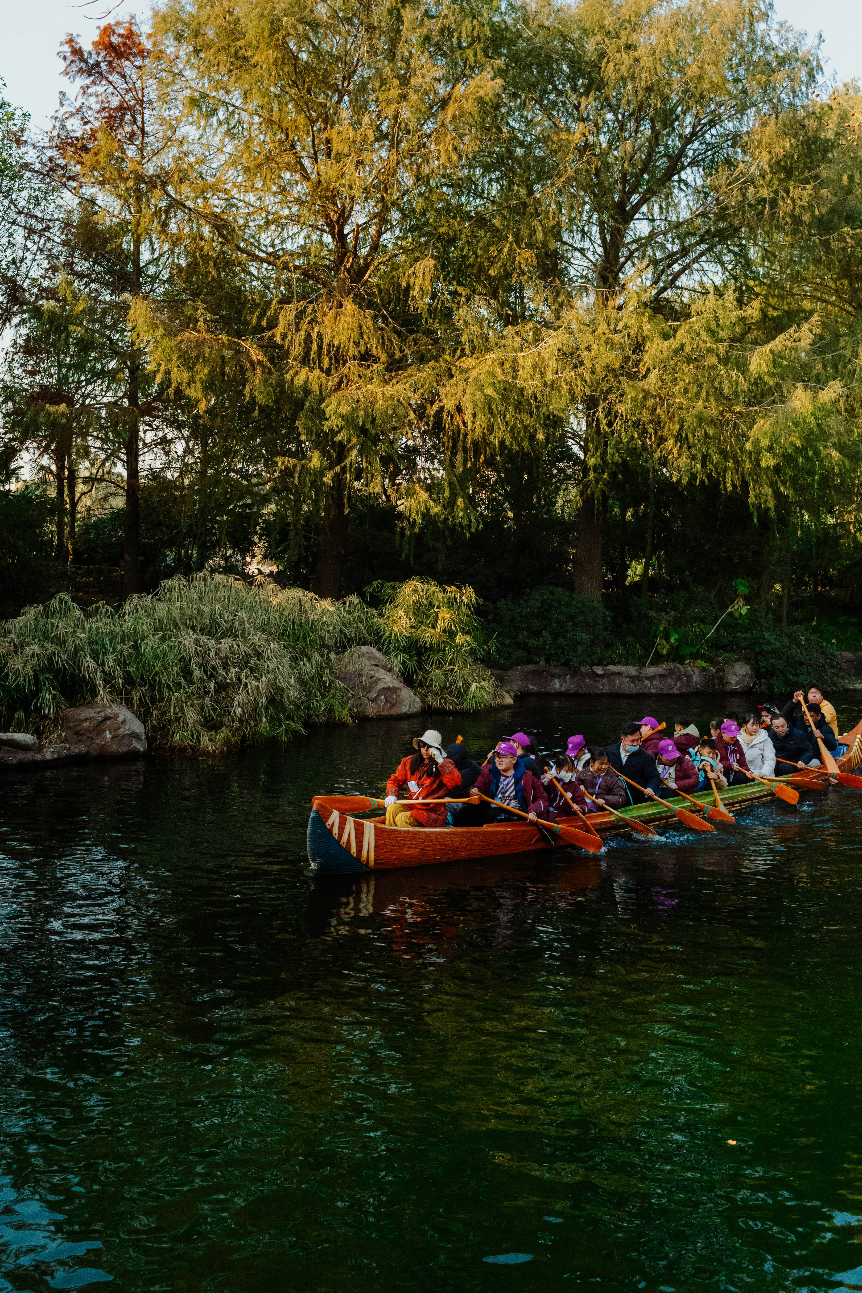 Photo by tommaomaoer