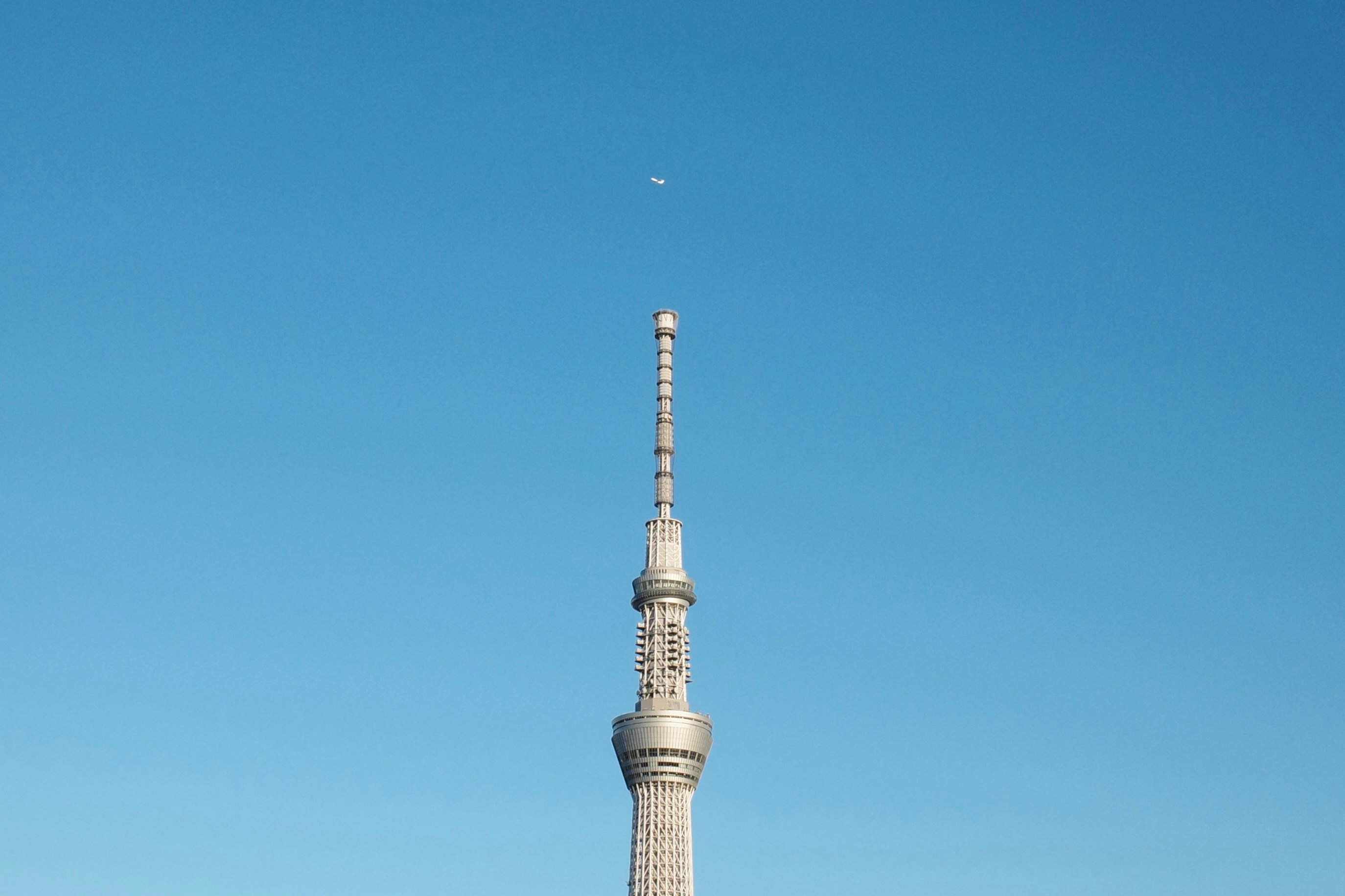 Photo by tehutehutuntun