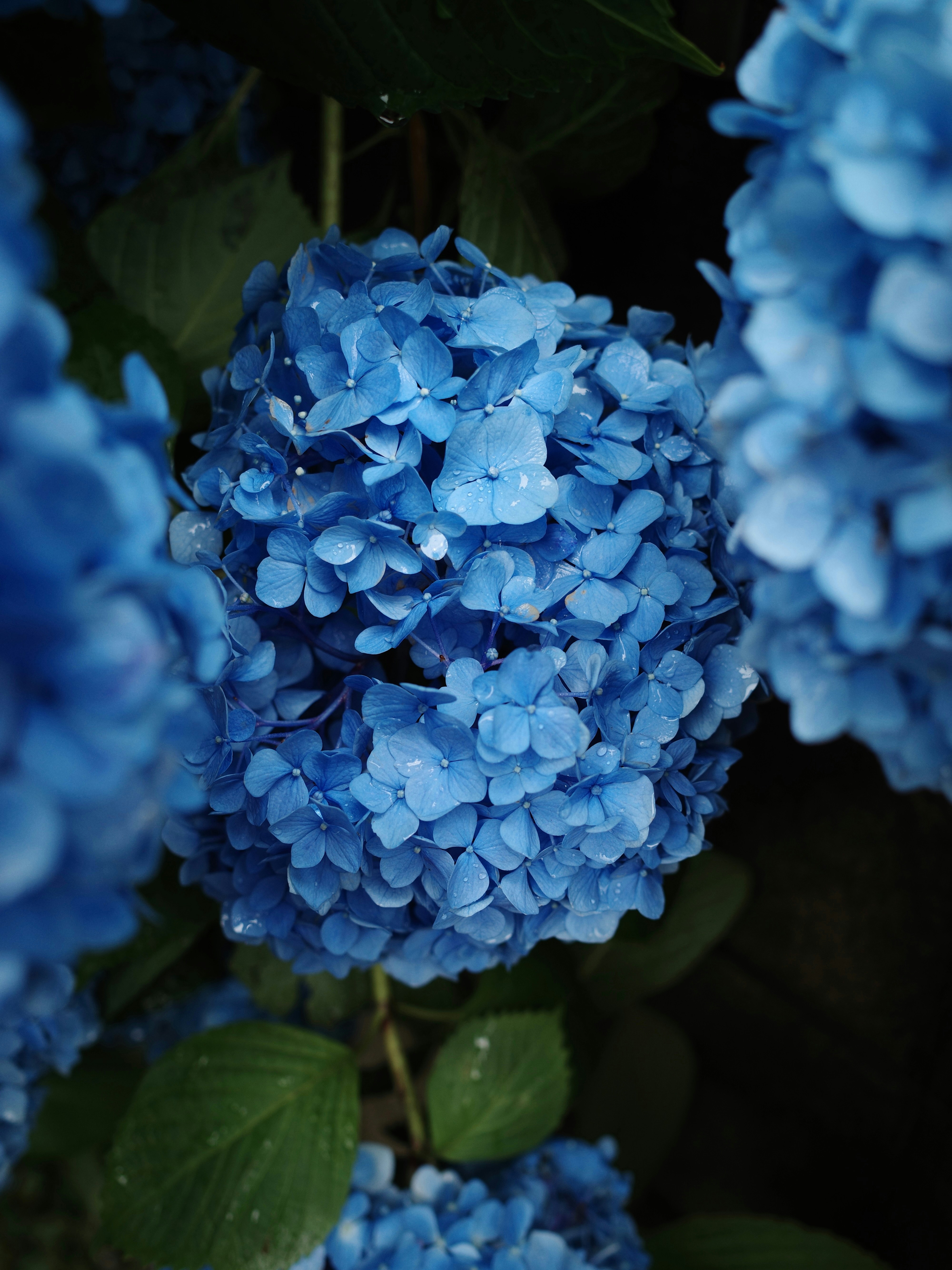 Photo by tehutehutuntun