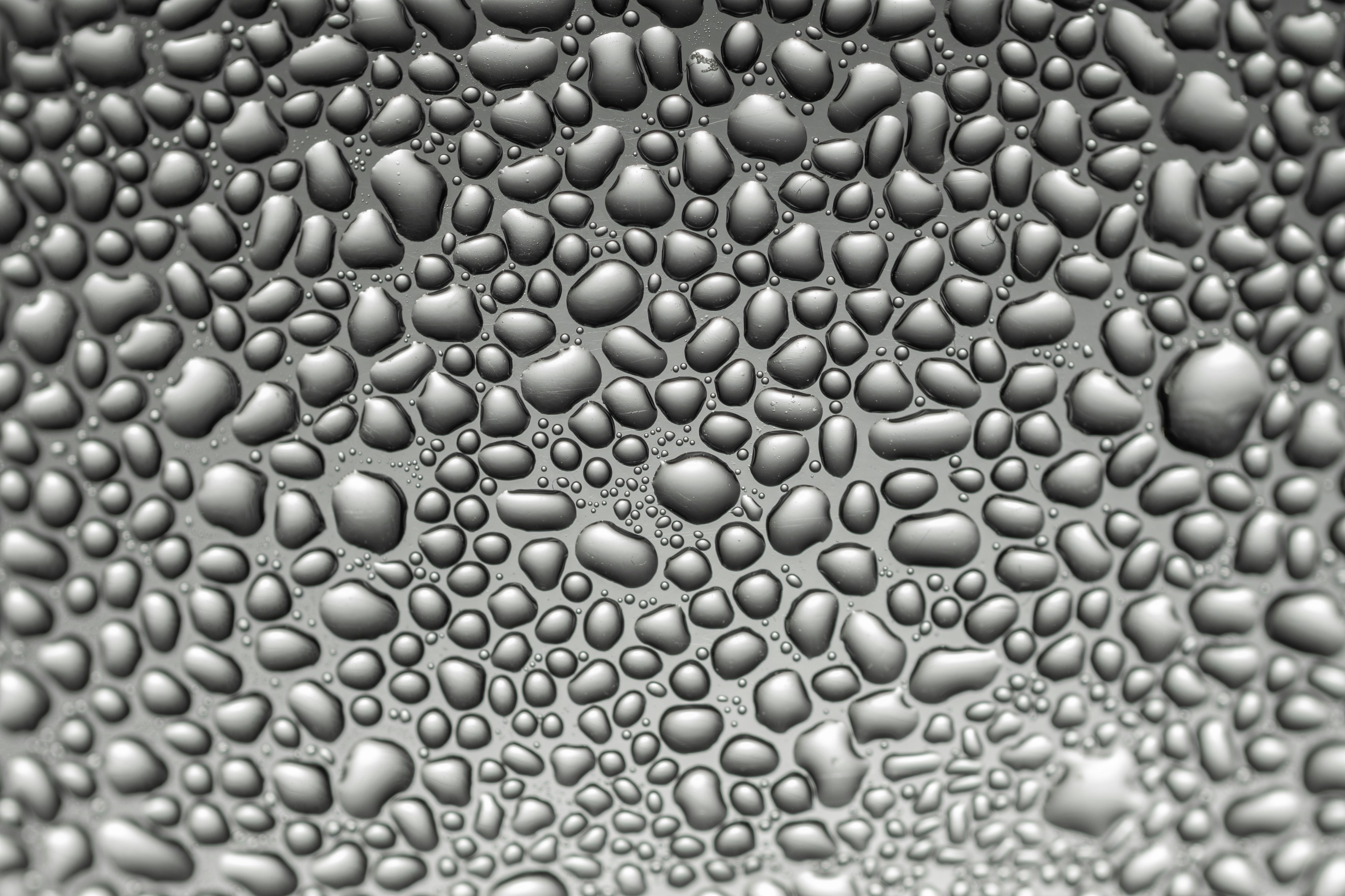 Photo by andrilliardbond