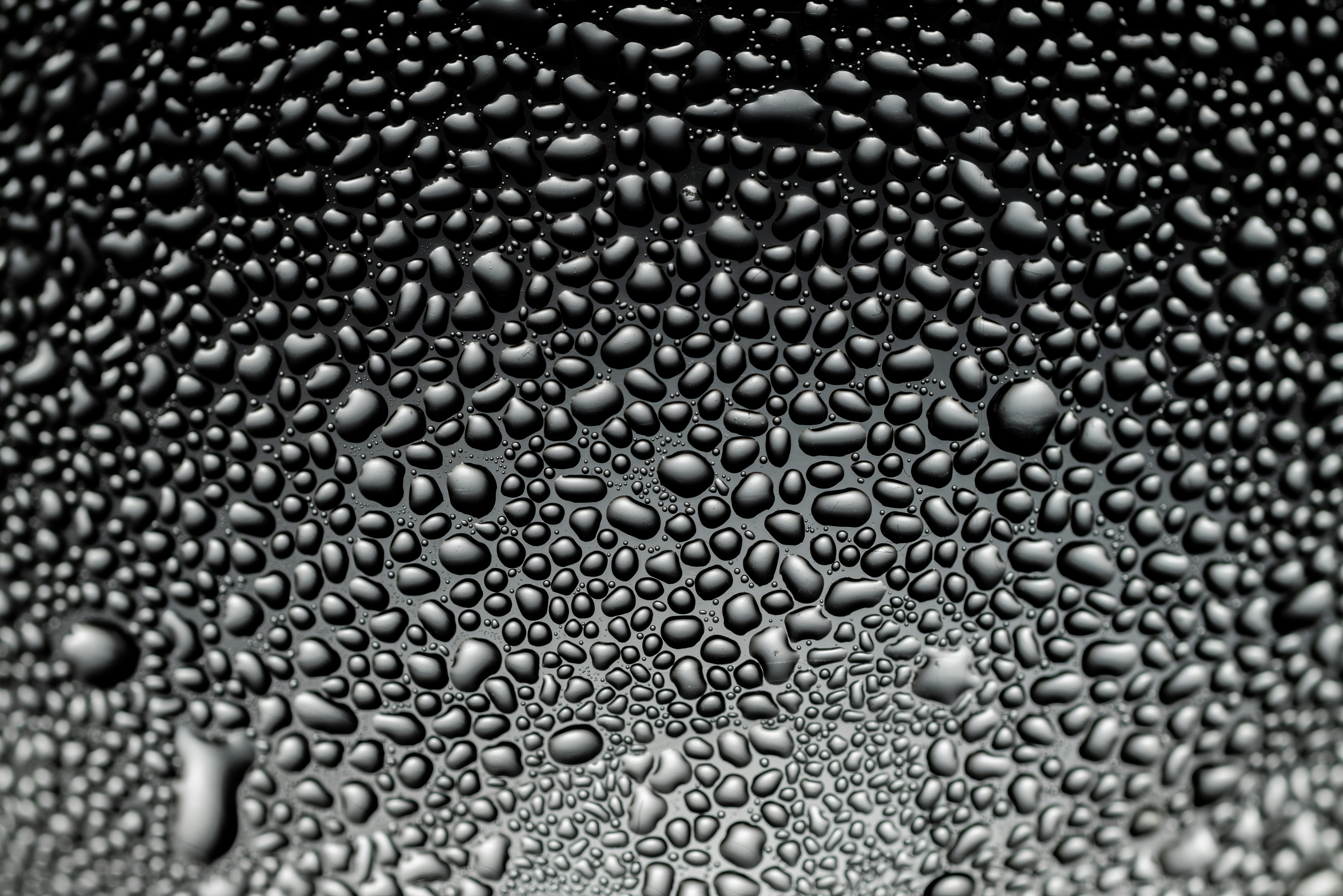 Photo by andrilliardbond