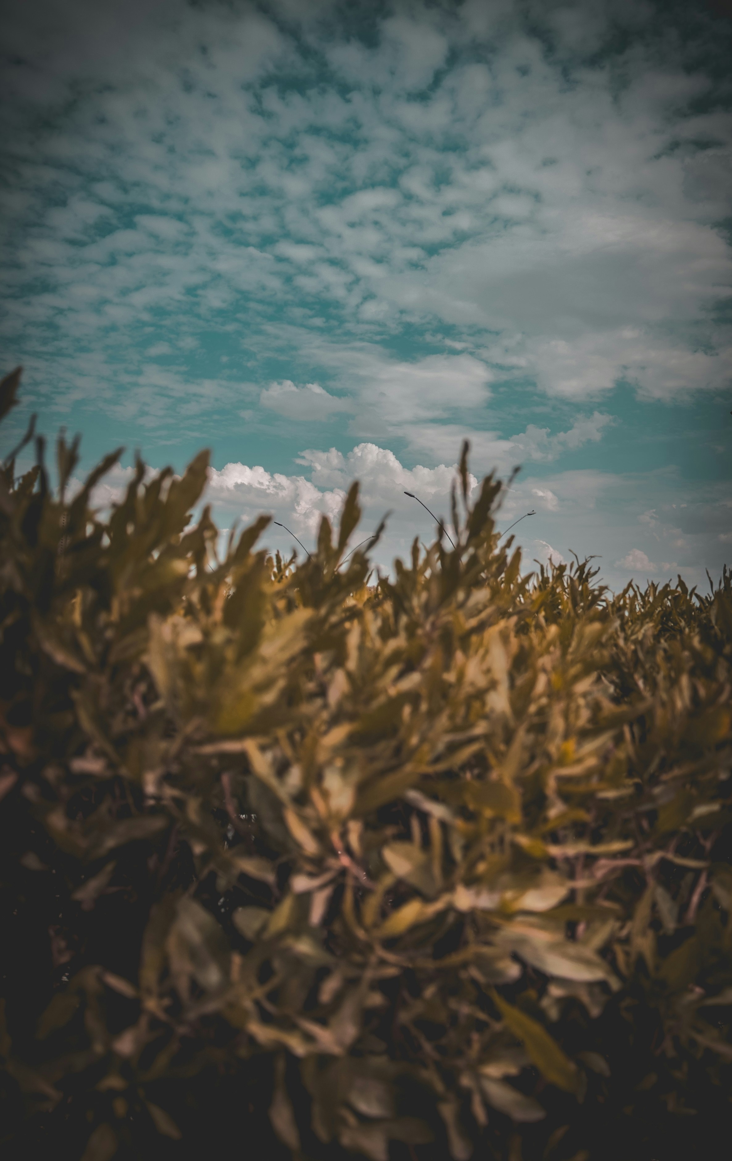 Photo by abdullmajid