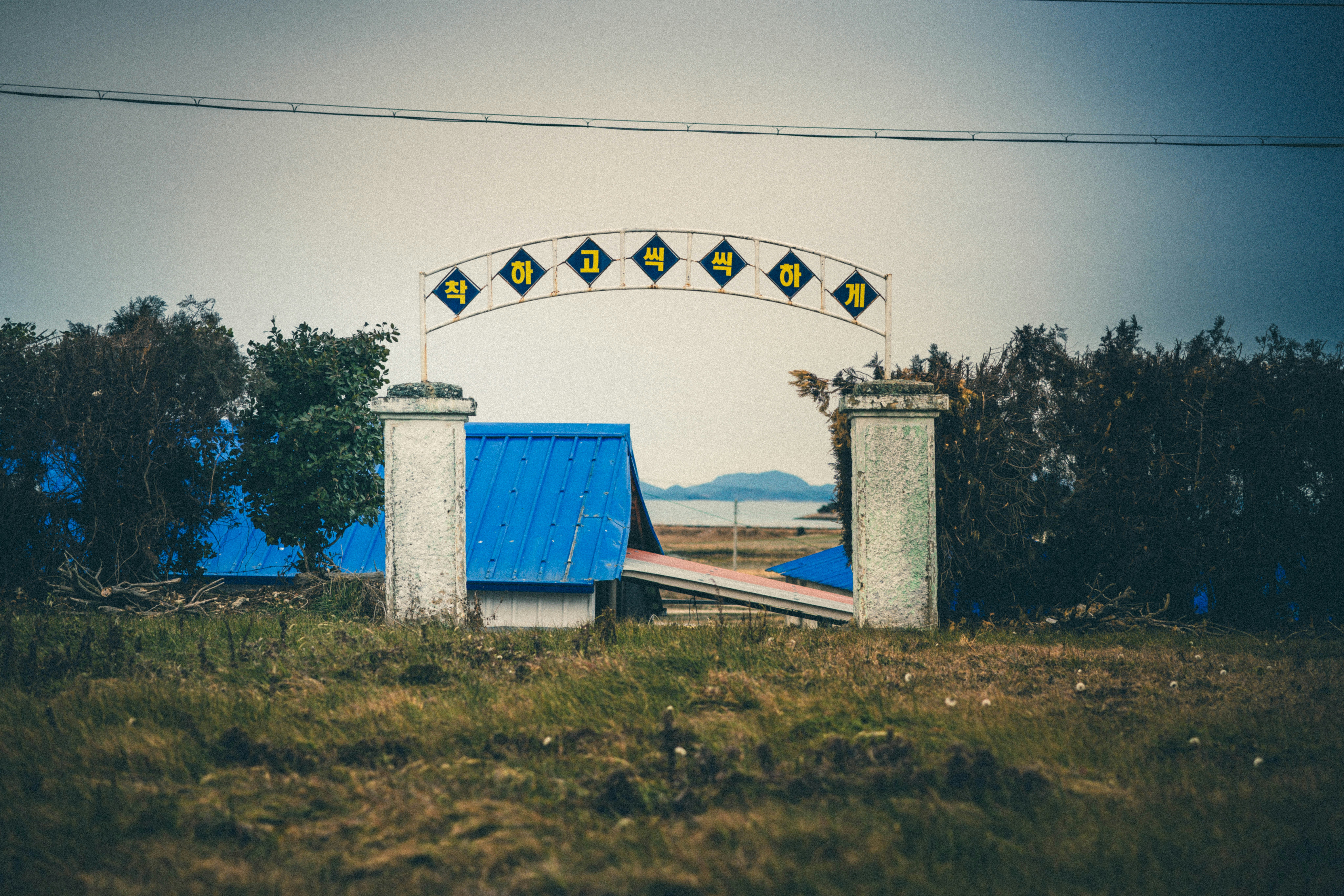 A blue and white gate in a grassy field