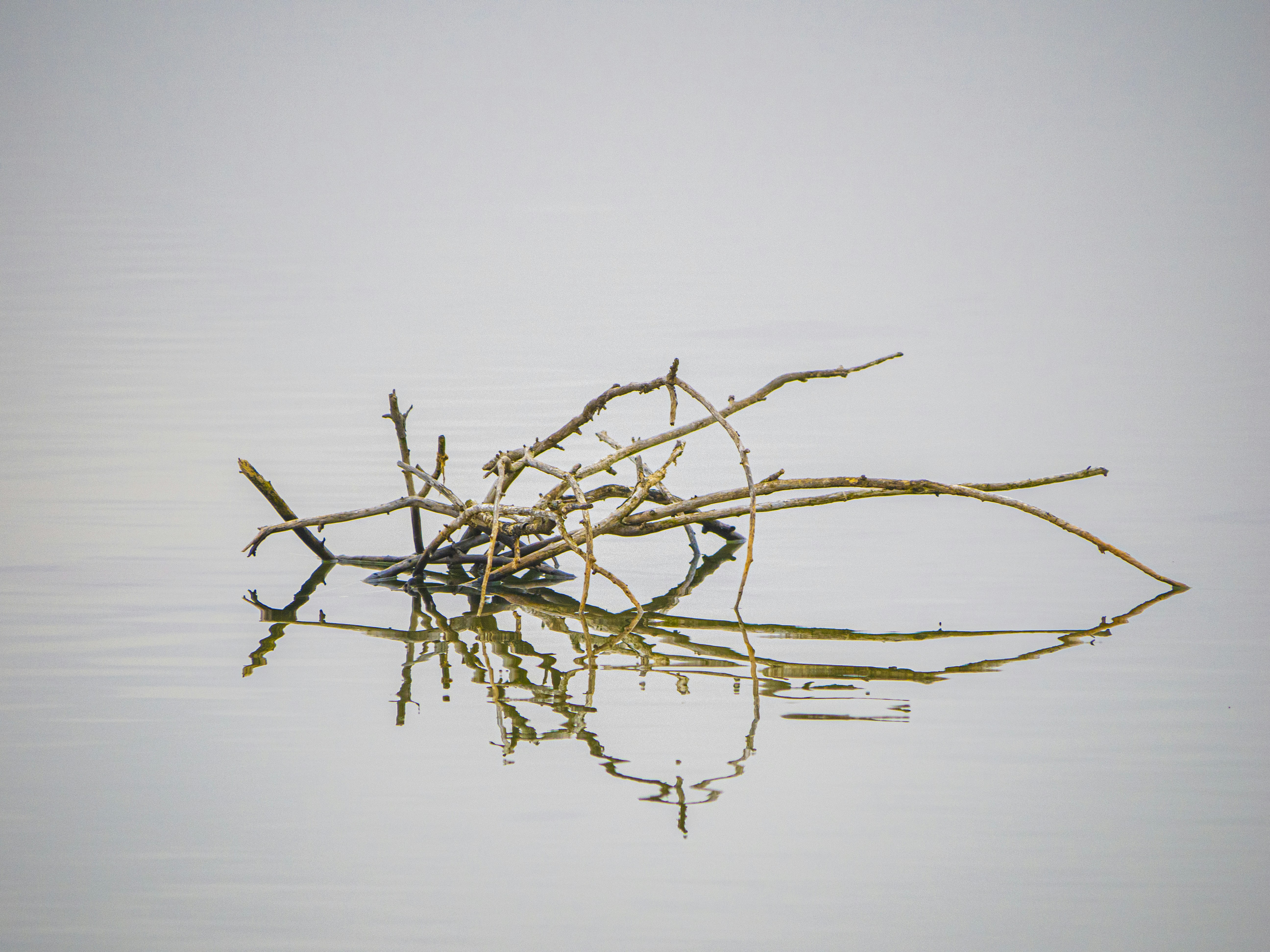 Photo by gopitri_prem