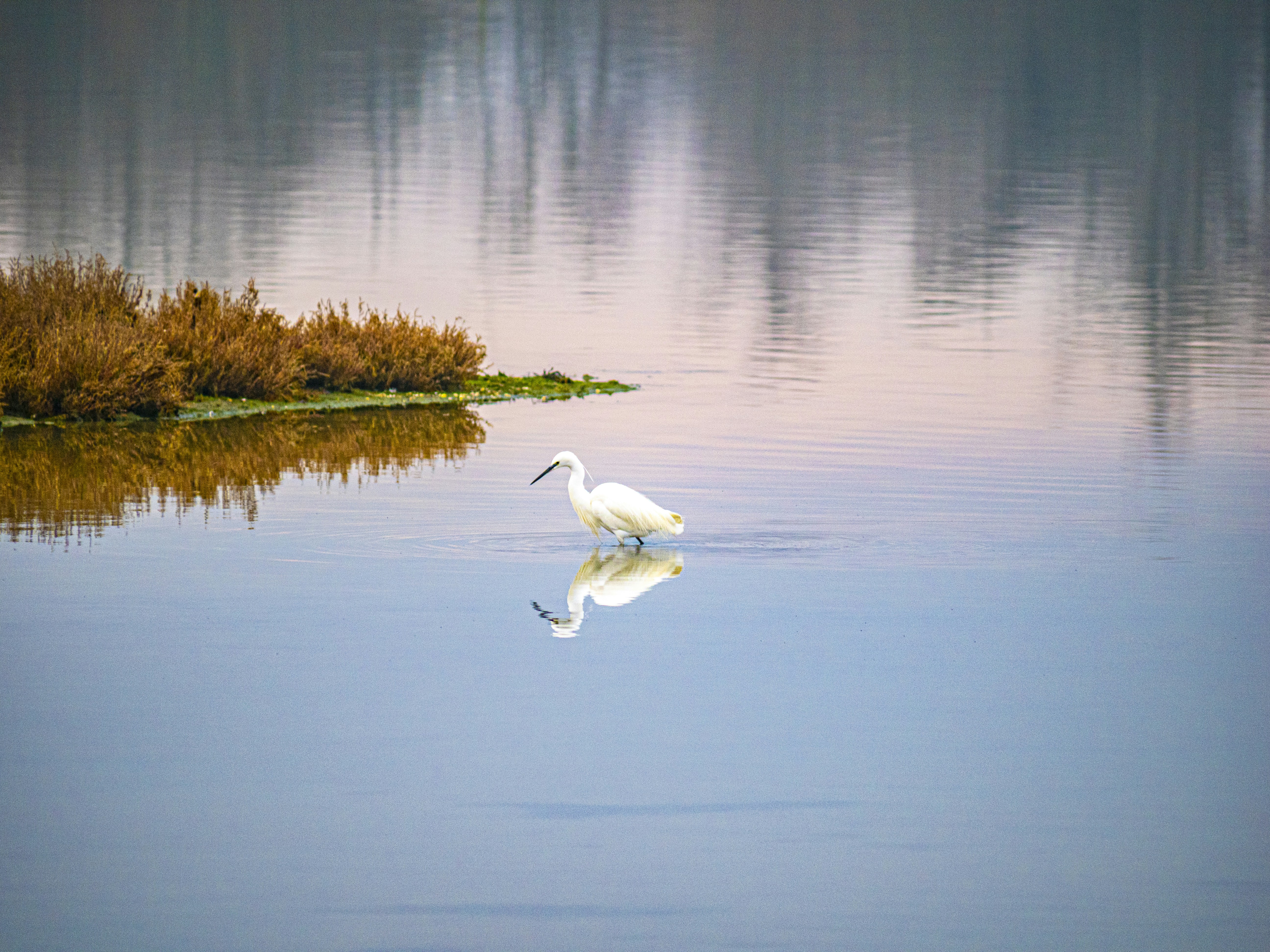 Photo by gopitri_prem