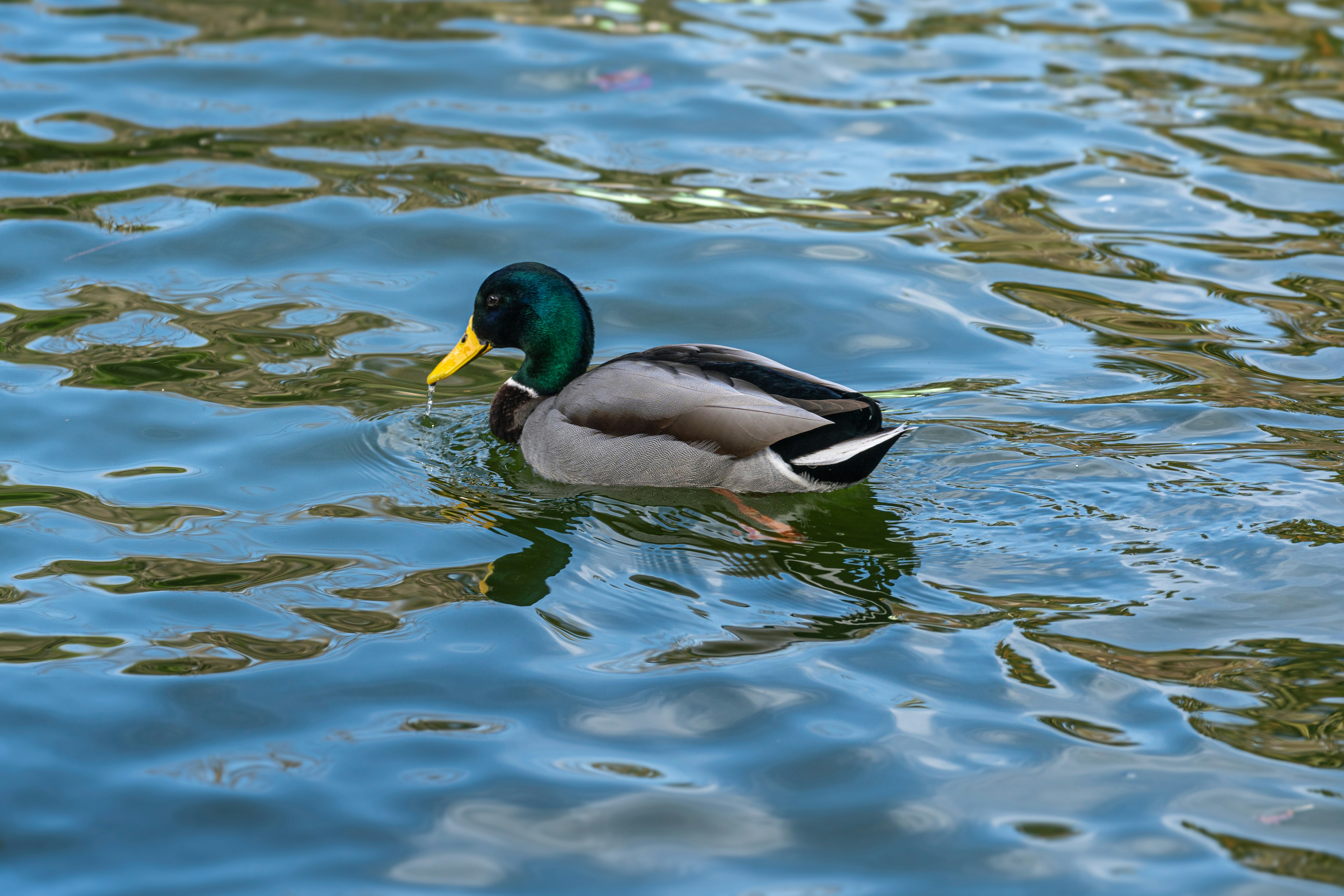 Photo by ivan_sanchez