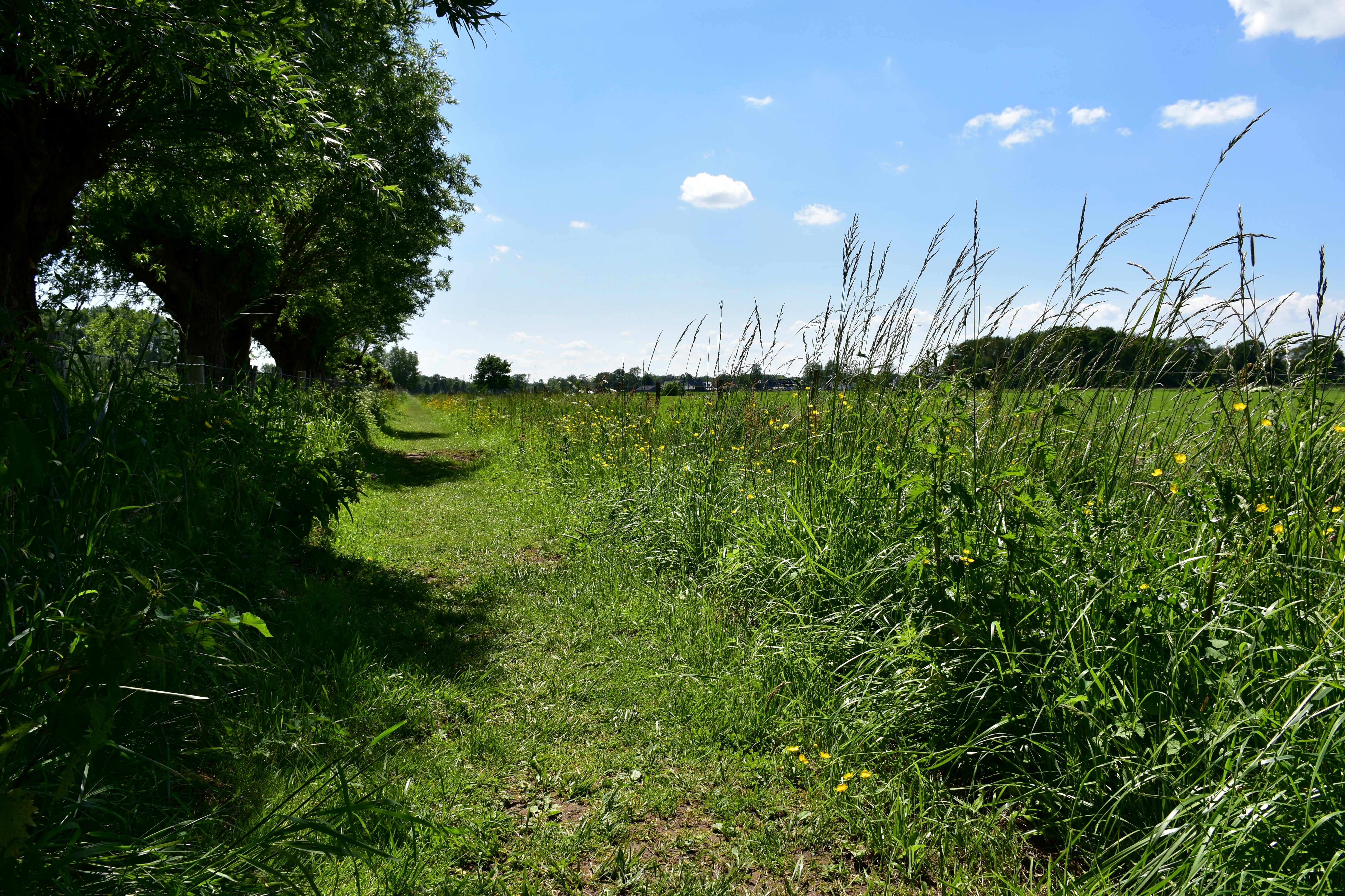 침묵 속에 묻힌 진실, 영원히 풀리지 않을 미스터리의 그림자