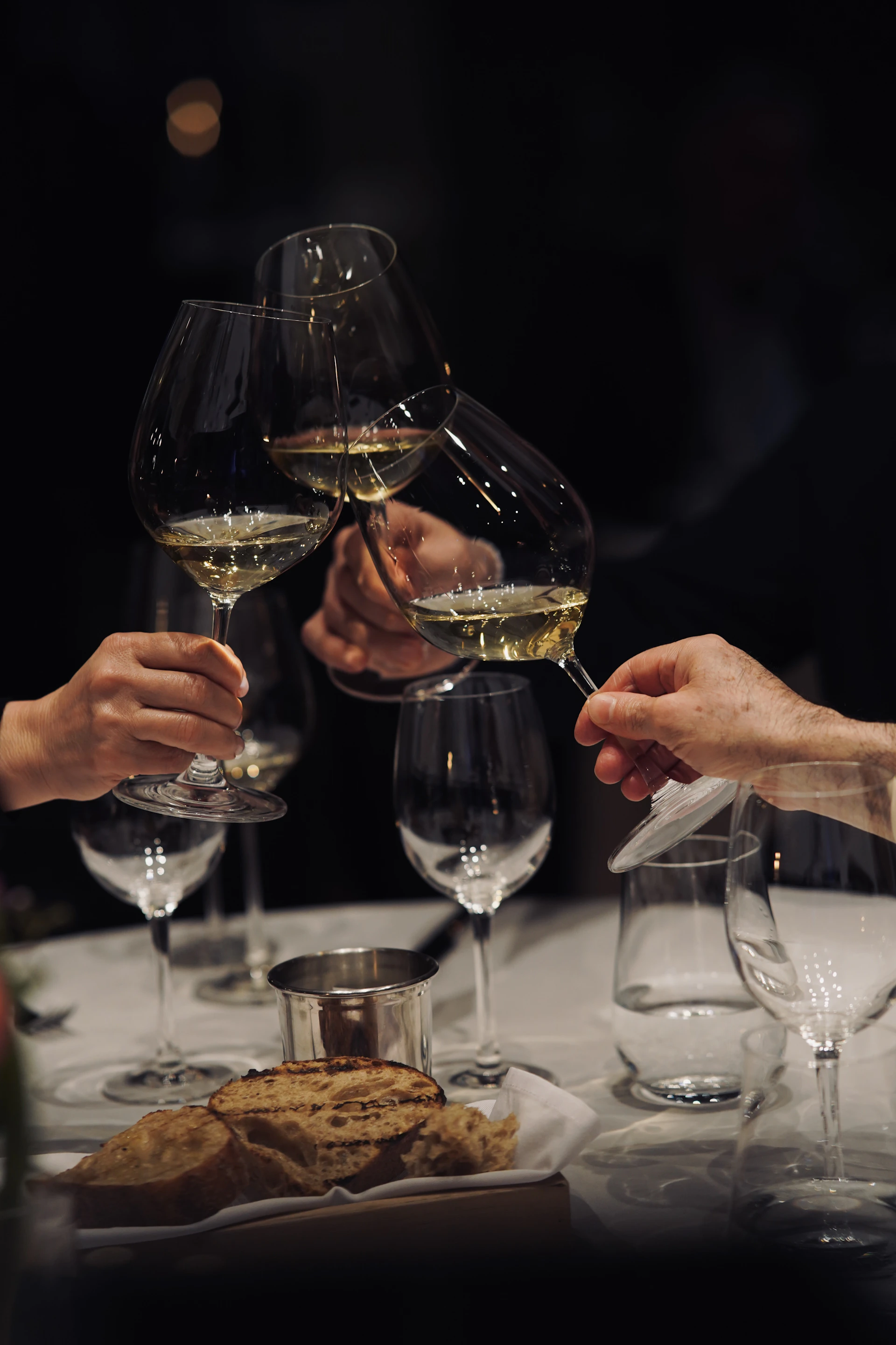 A group of people toasting with wine glasses