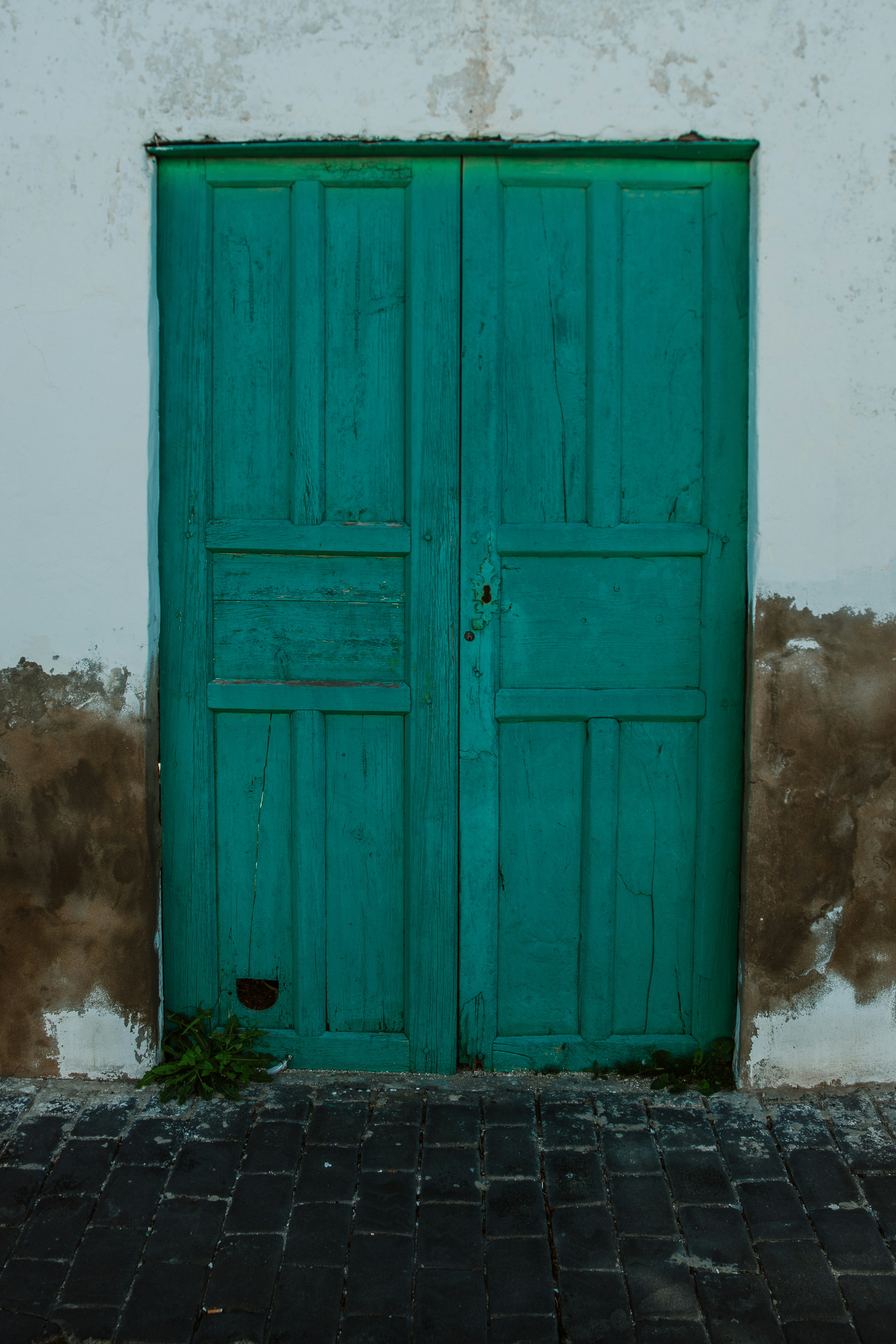 Photo by morganmarinoni