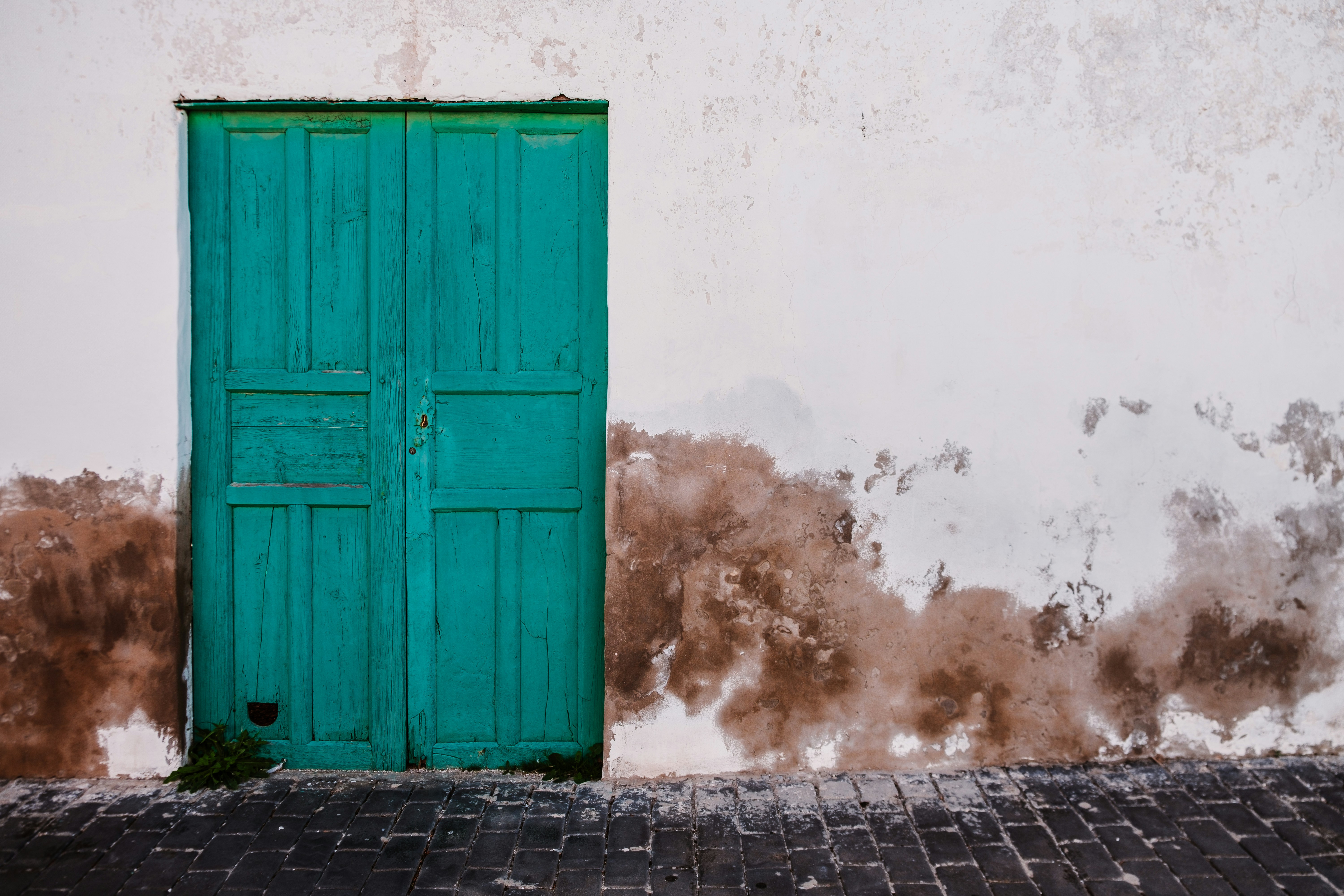 Photo by morganmarinoni