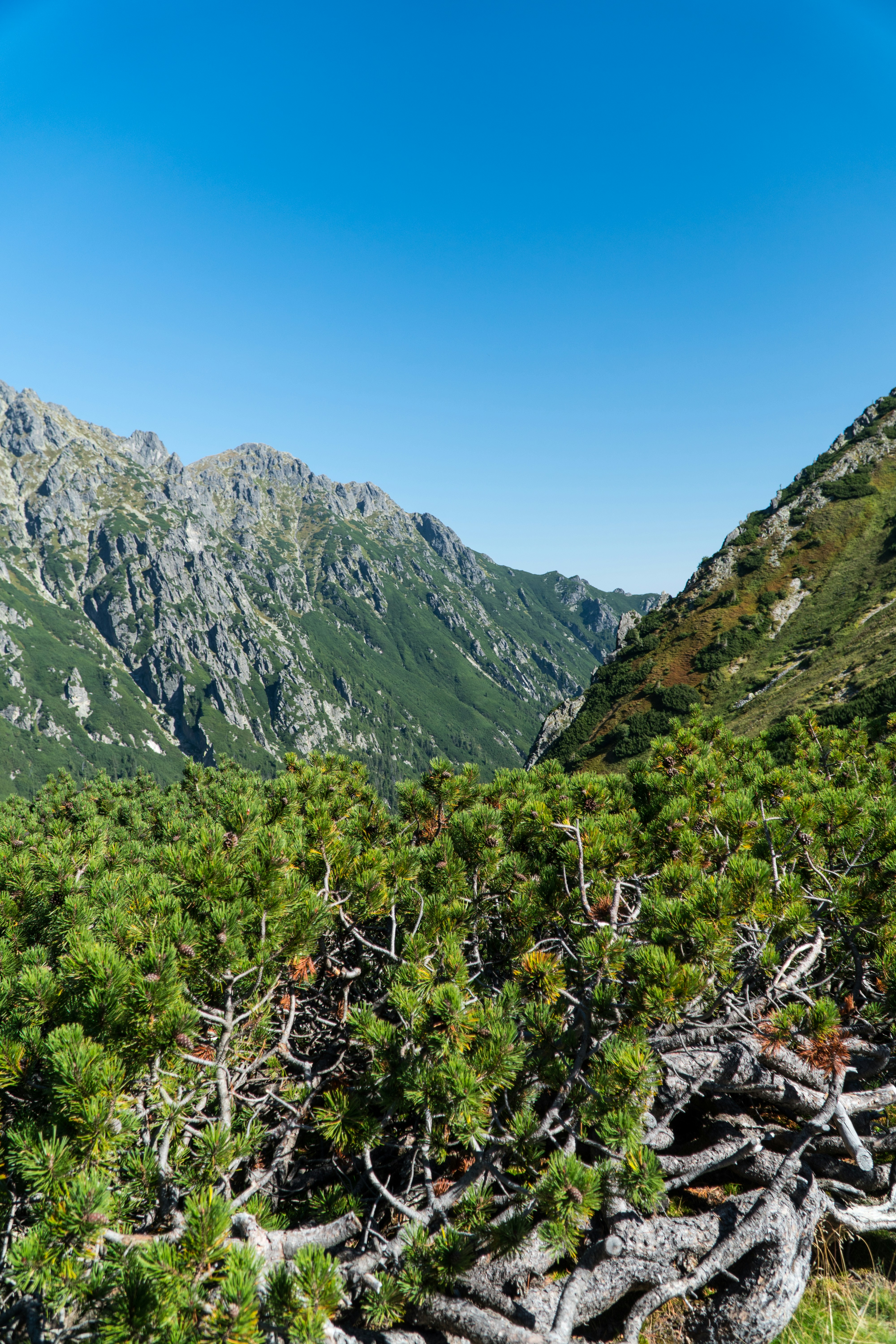 Photo by maciejka_dslr