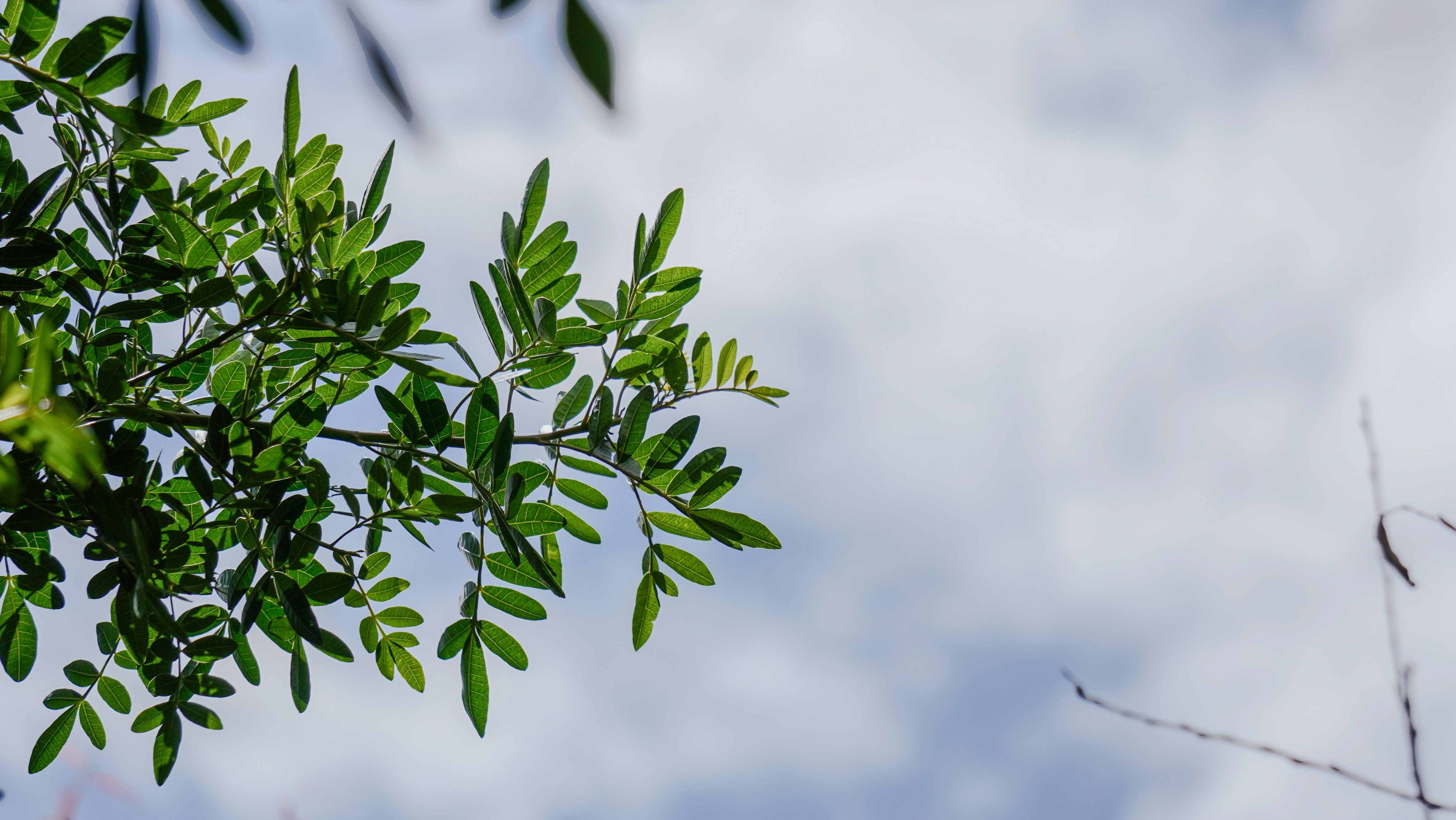 Photo by elocasodejosue