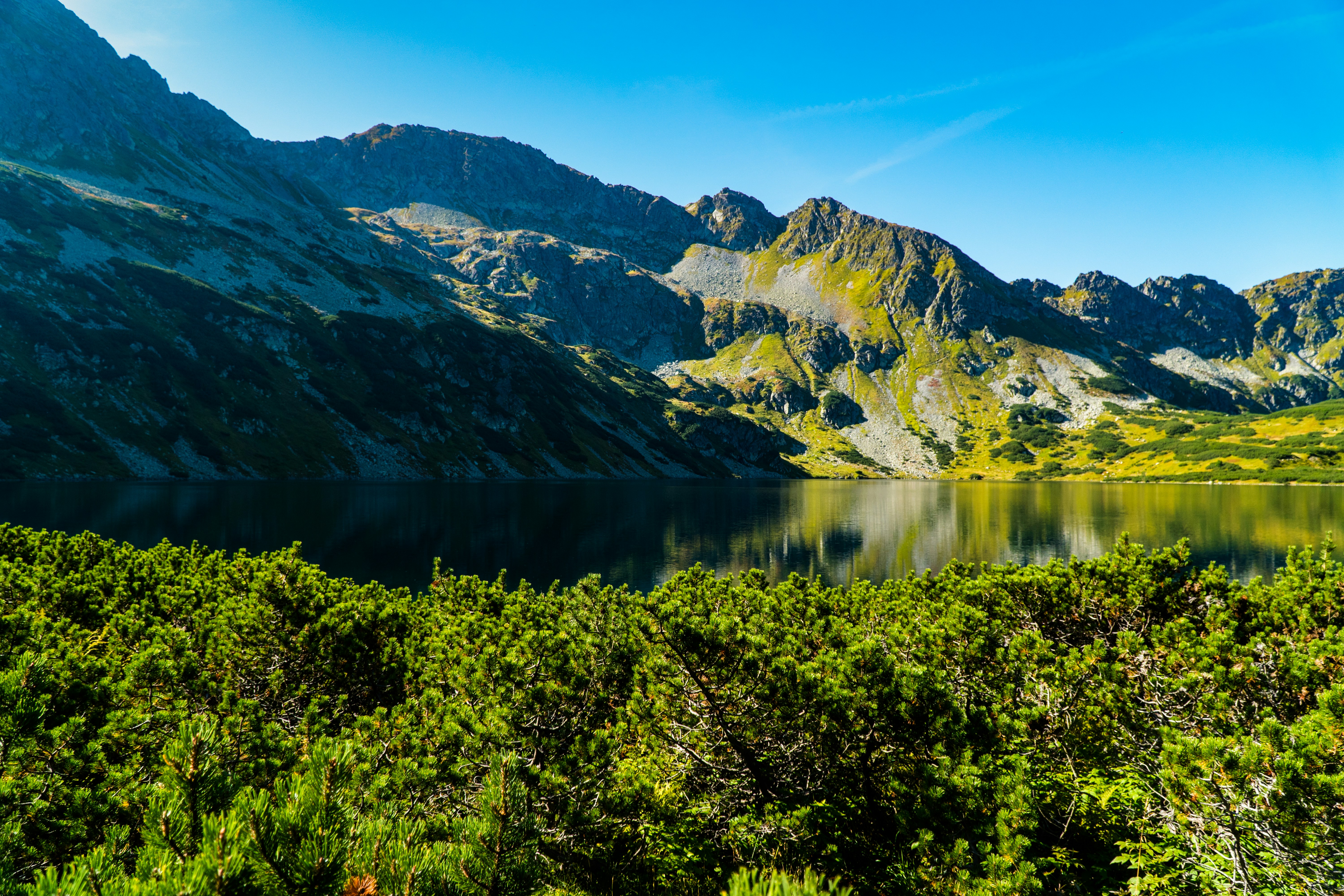 Photo by maciejka_dslr