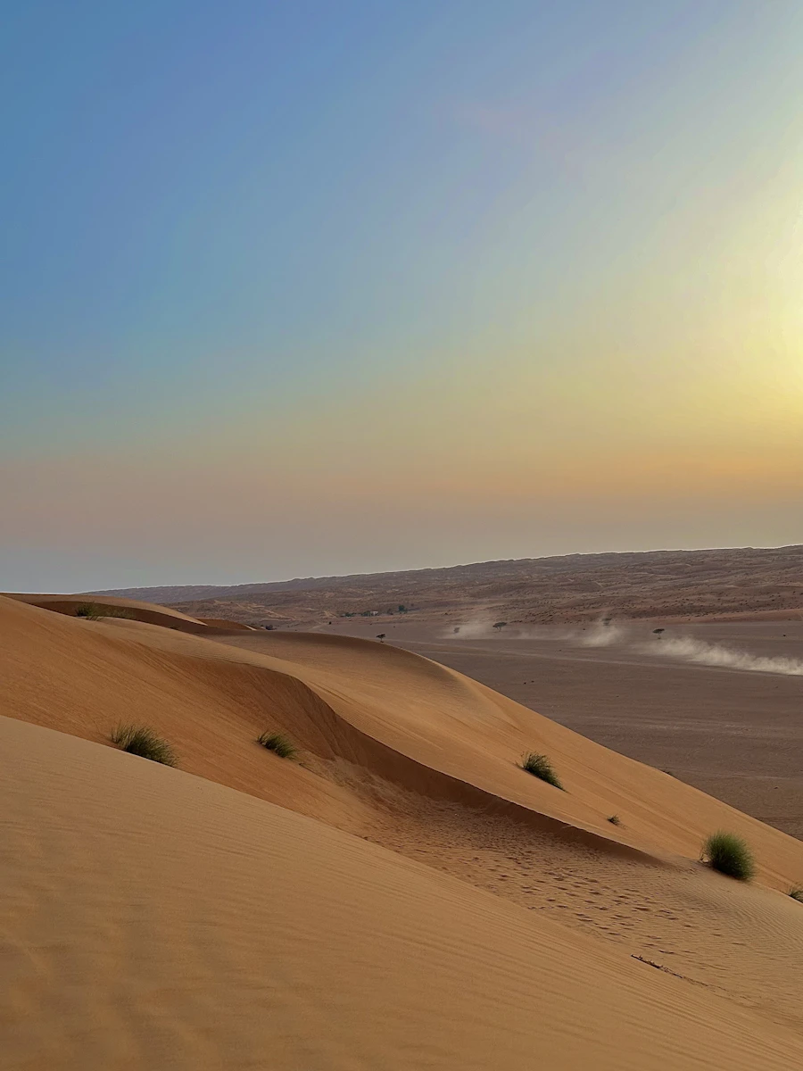 سفاري الرمال