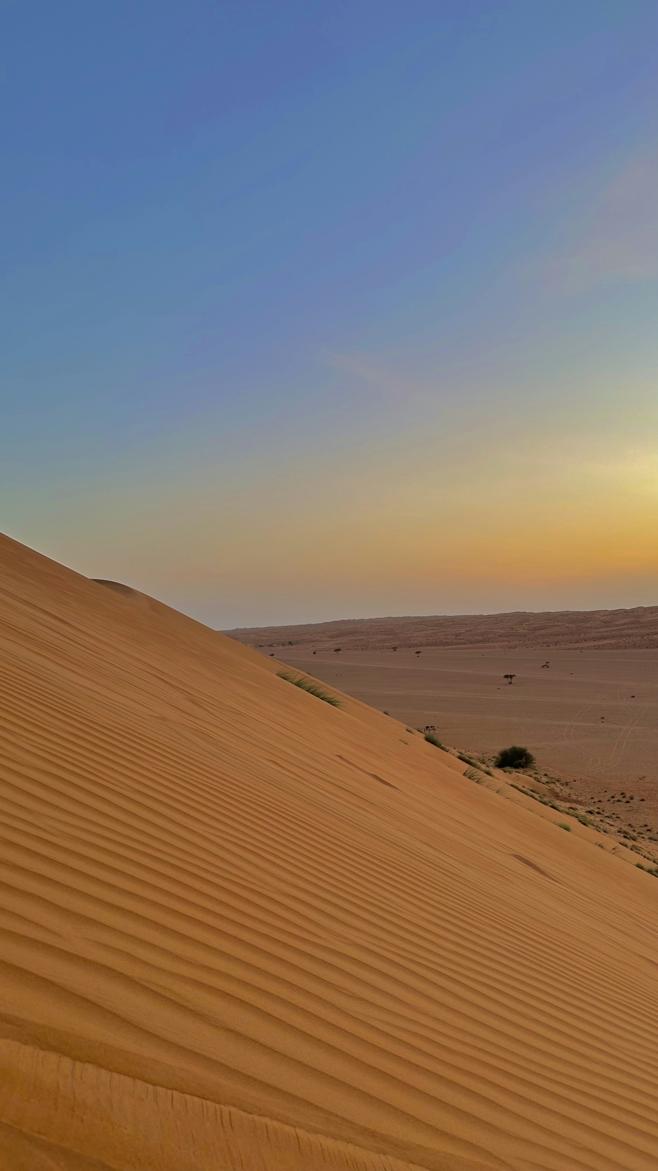 Photo by nashitharafiq